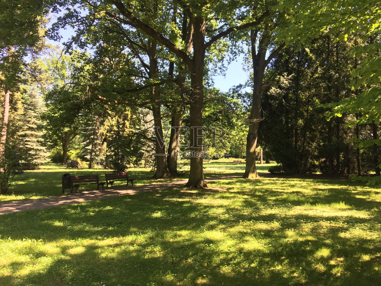 日式花园照片摄影图片