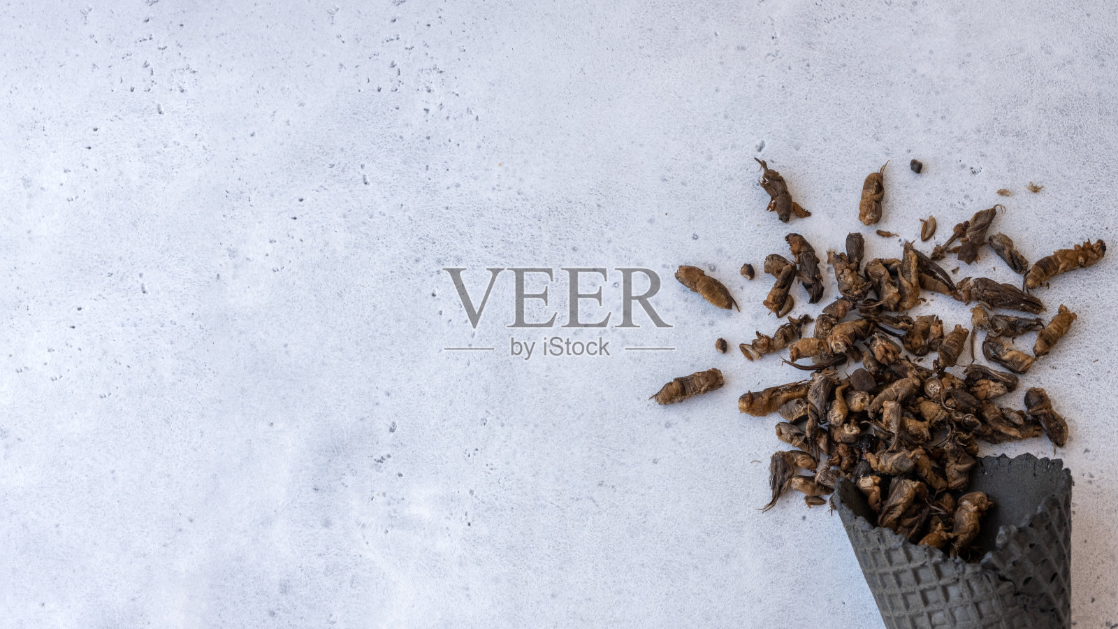 肺结核,治疗用斗。治肺结核的偏方,一种与蜂蜜混合的鼹鼠蟋蟀。照片摄影图片