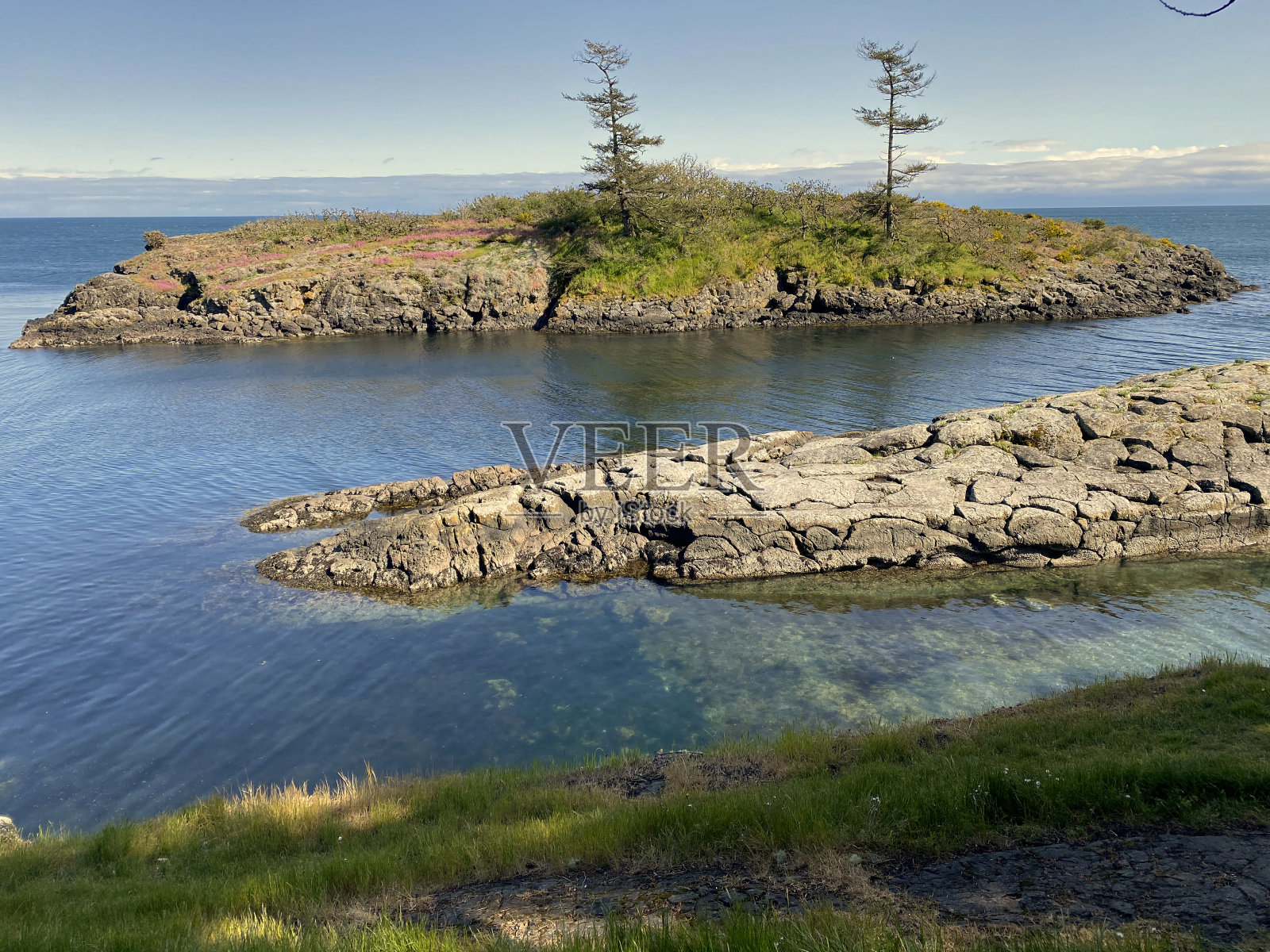 温哥华岛的海岸景色照片摄影图片