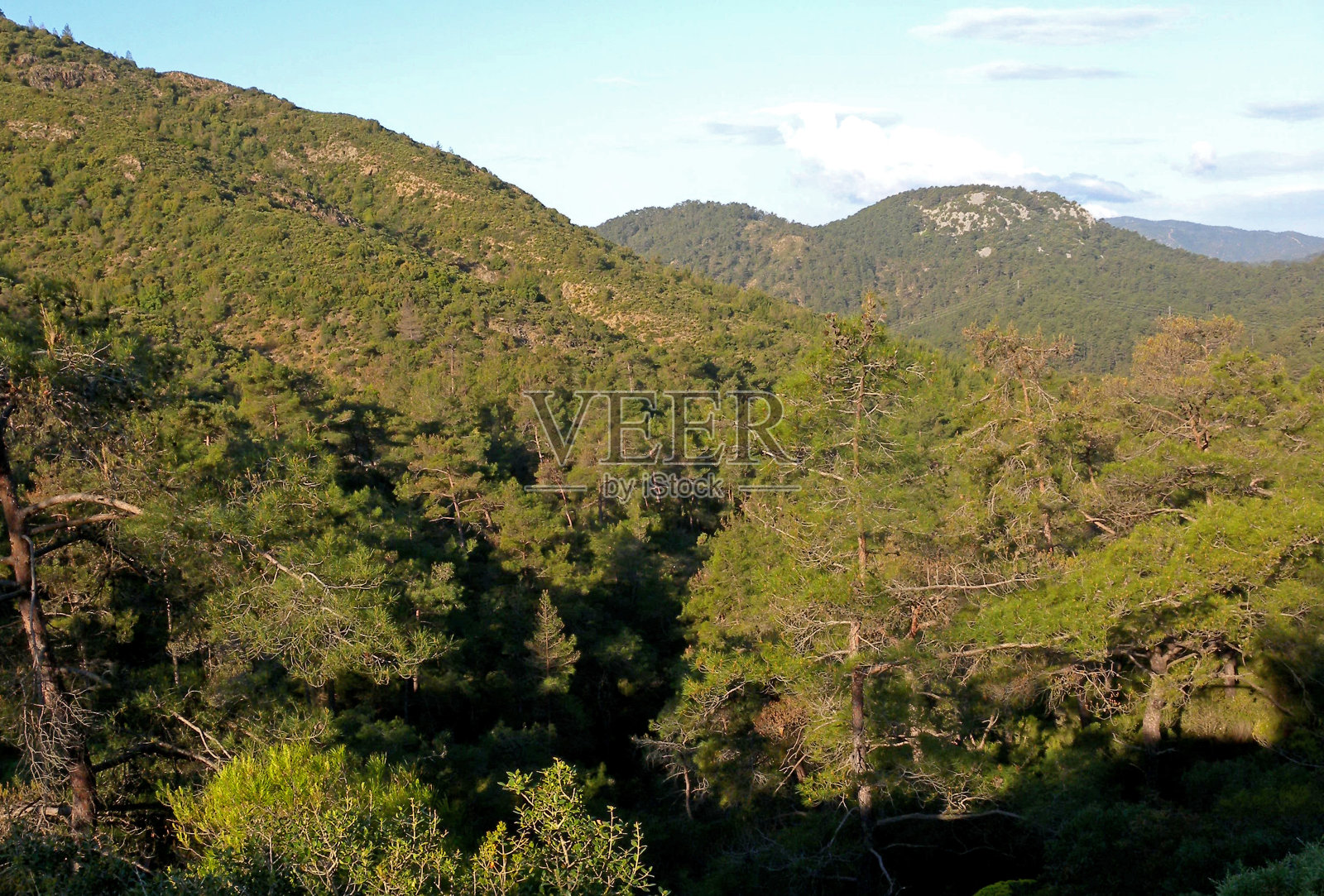 俯瞰森林覆盖的沿海山脉照片摄影图片