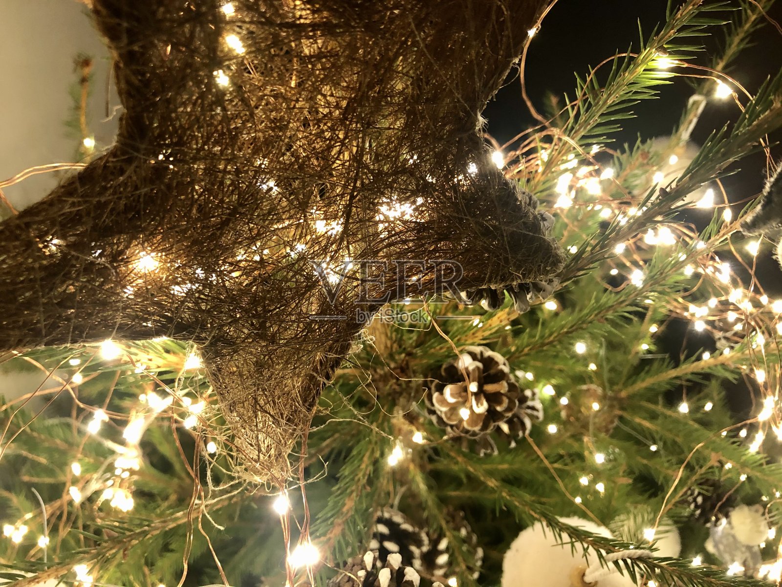 圣诞树照片摄影图片