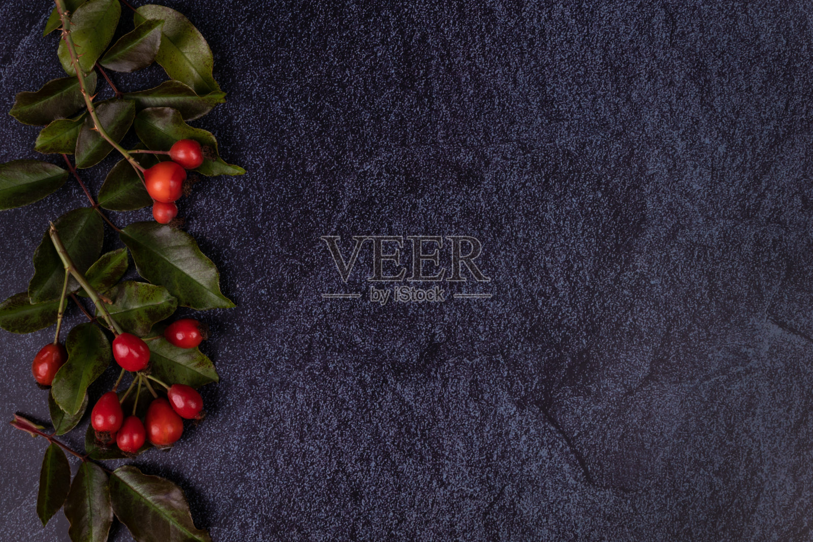 在深蓝色天鹅绒织物上,两根蔷薇果的枝干和叶子躺在一起照片摄影图片