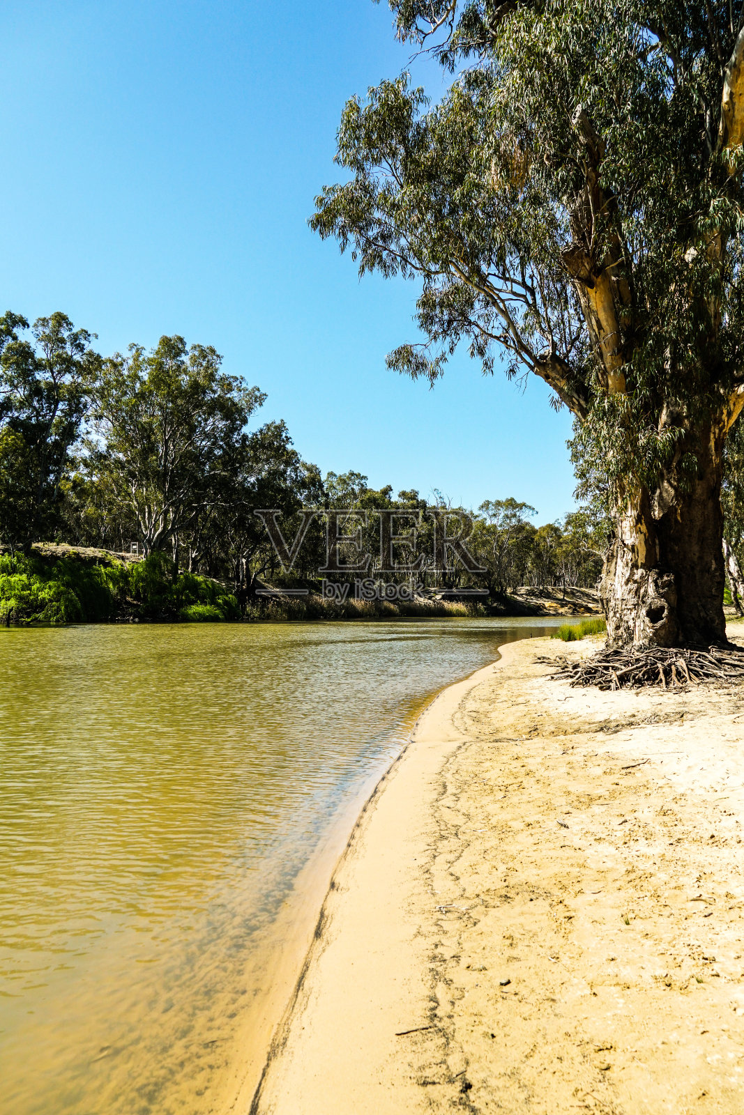迪尼利昆,新南威尔士,澳大利亚照片摄影图片