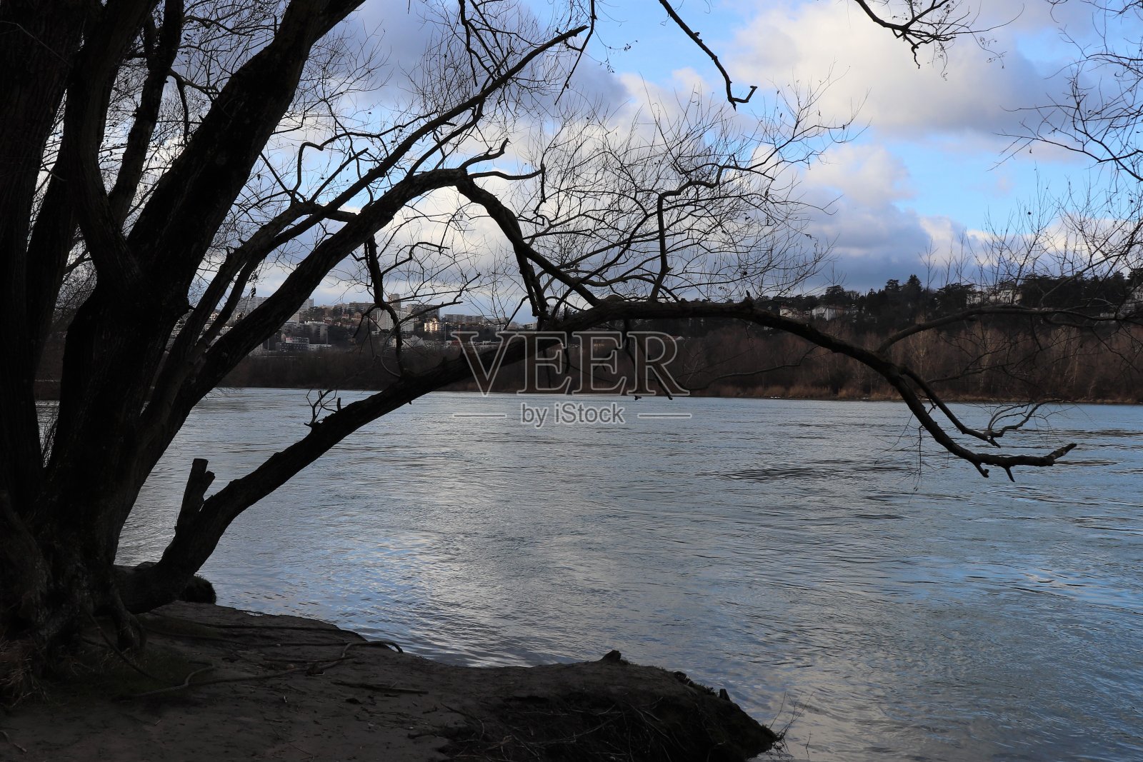 从费辛公园看Rhône河照片摄影图片