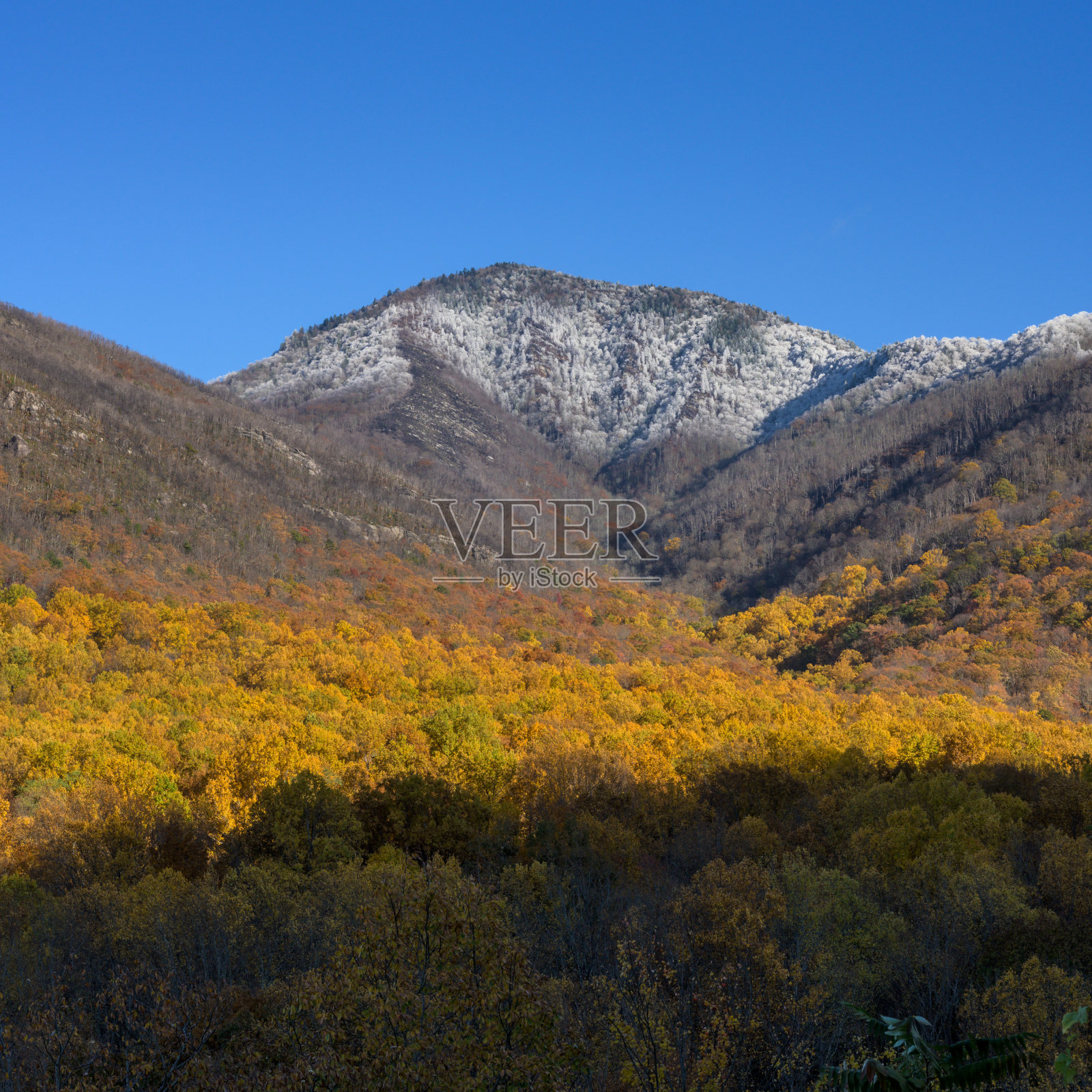 秋天勒孔特山顶的雪照片摄影图片
