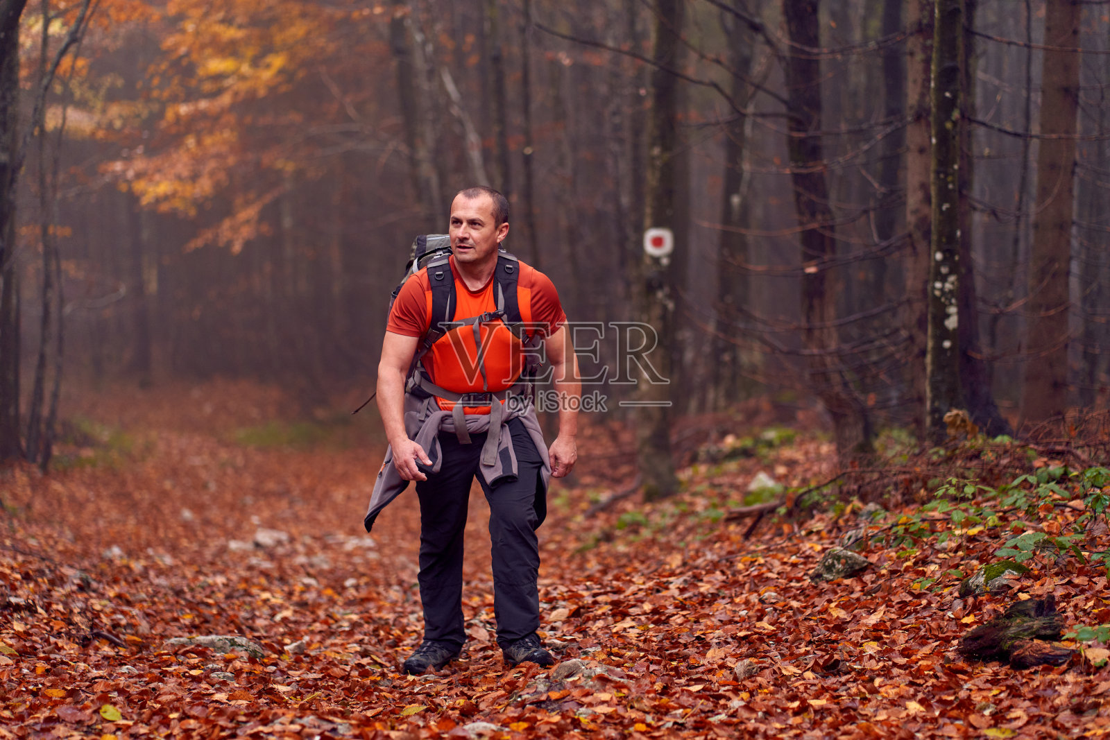 徒步进入大雾弥漫的森林照片摄影图片