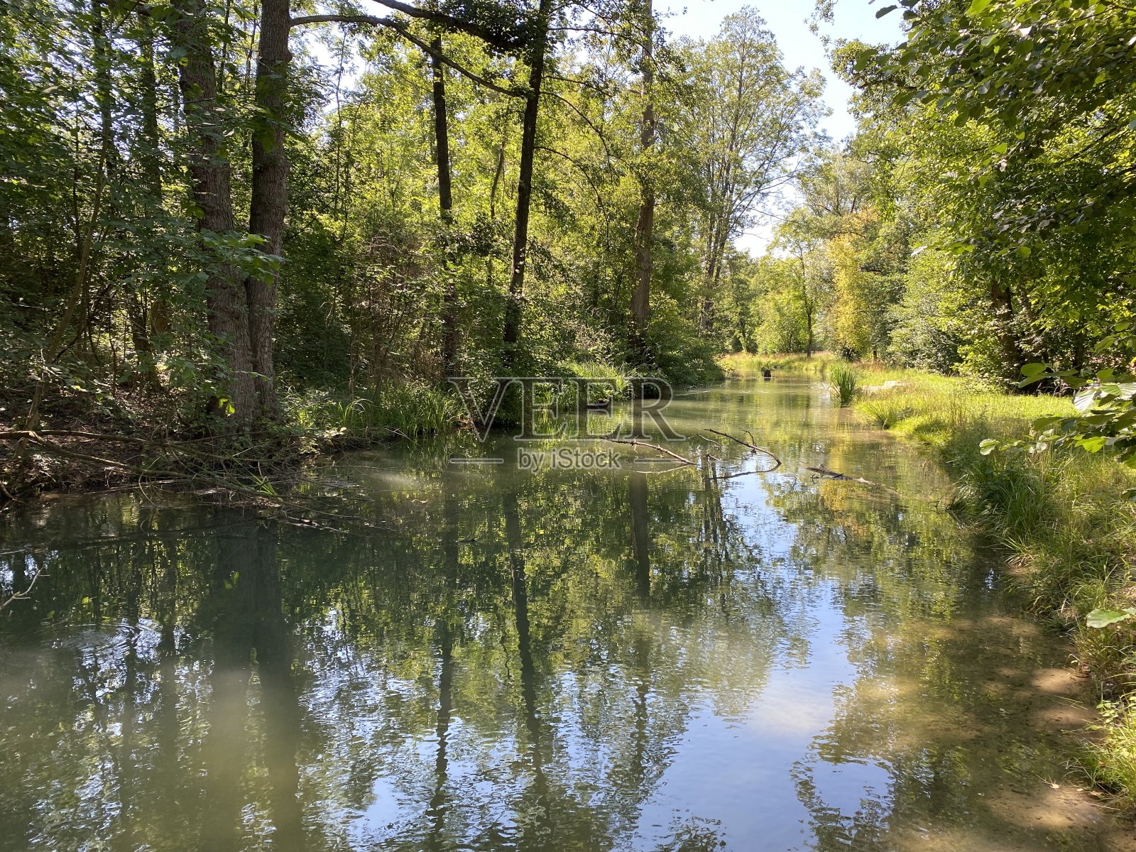 格拉特河沿岸的小湖或池塘有树木的夏季景观- Zürich(苏黎世或苏黎世),瑞士(Schweiz)照片摄影图片