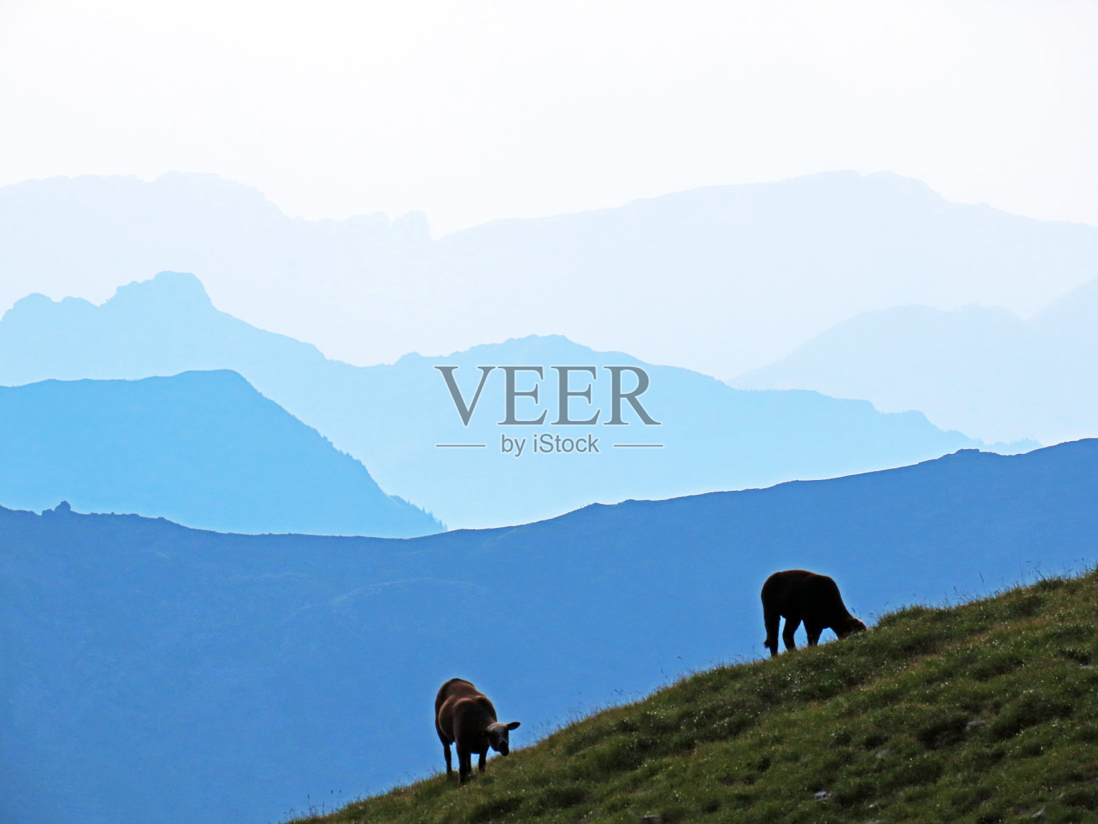 在远处的地平线上,一排排风景如画的高山和山峰,梅尔赫塔尔-奥瓦尔登州,瑞士(坎顿奥瓦尔德,瑞士)照片摄影图片