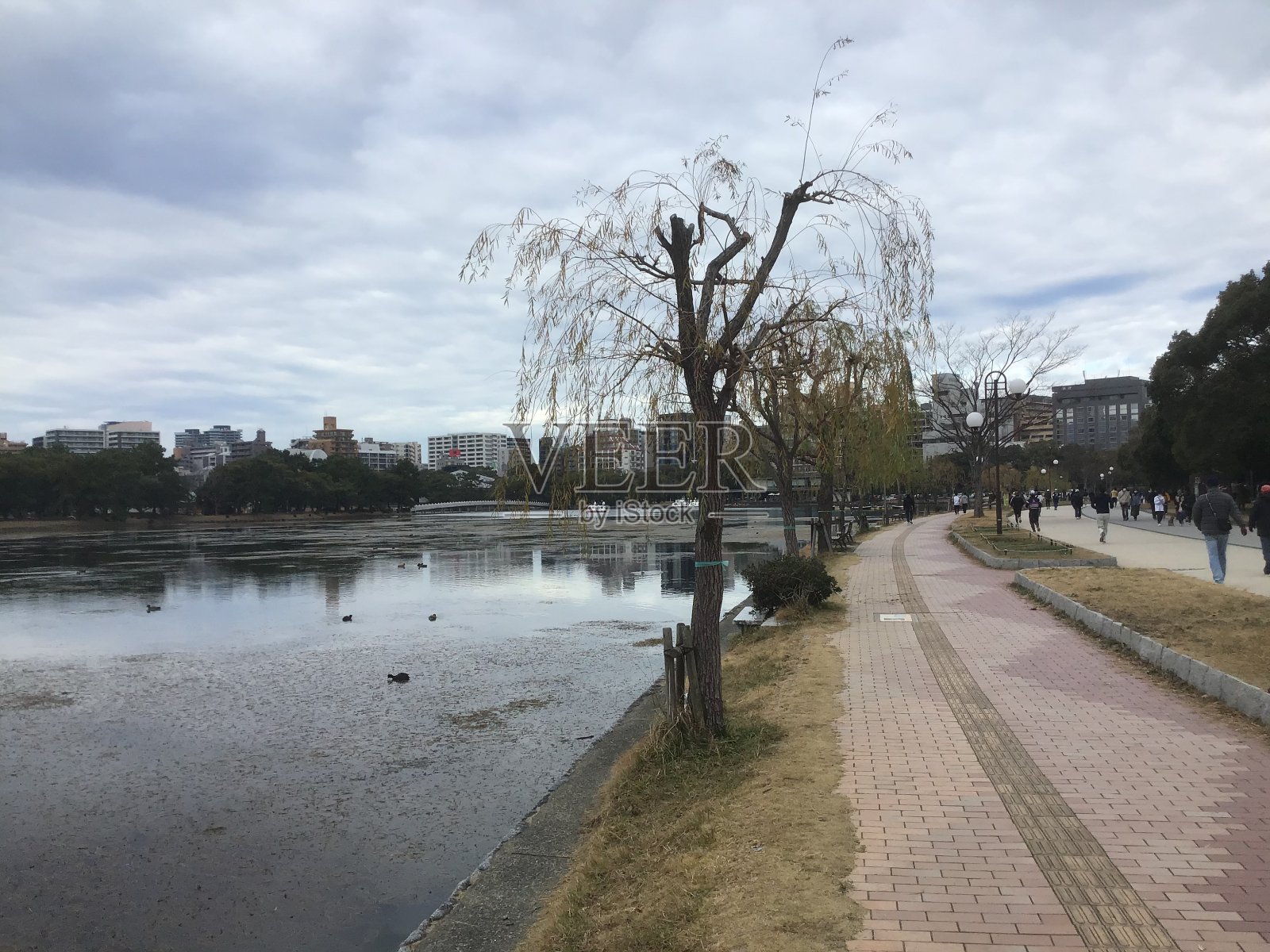 福冈大堀公园的风景照片摄影图片