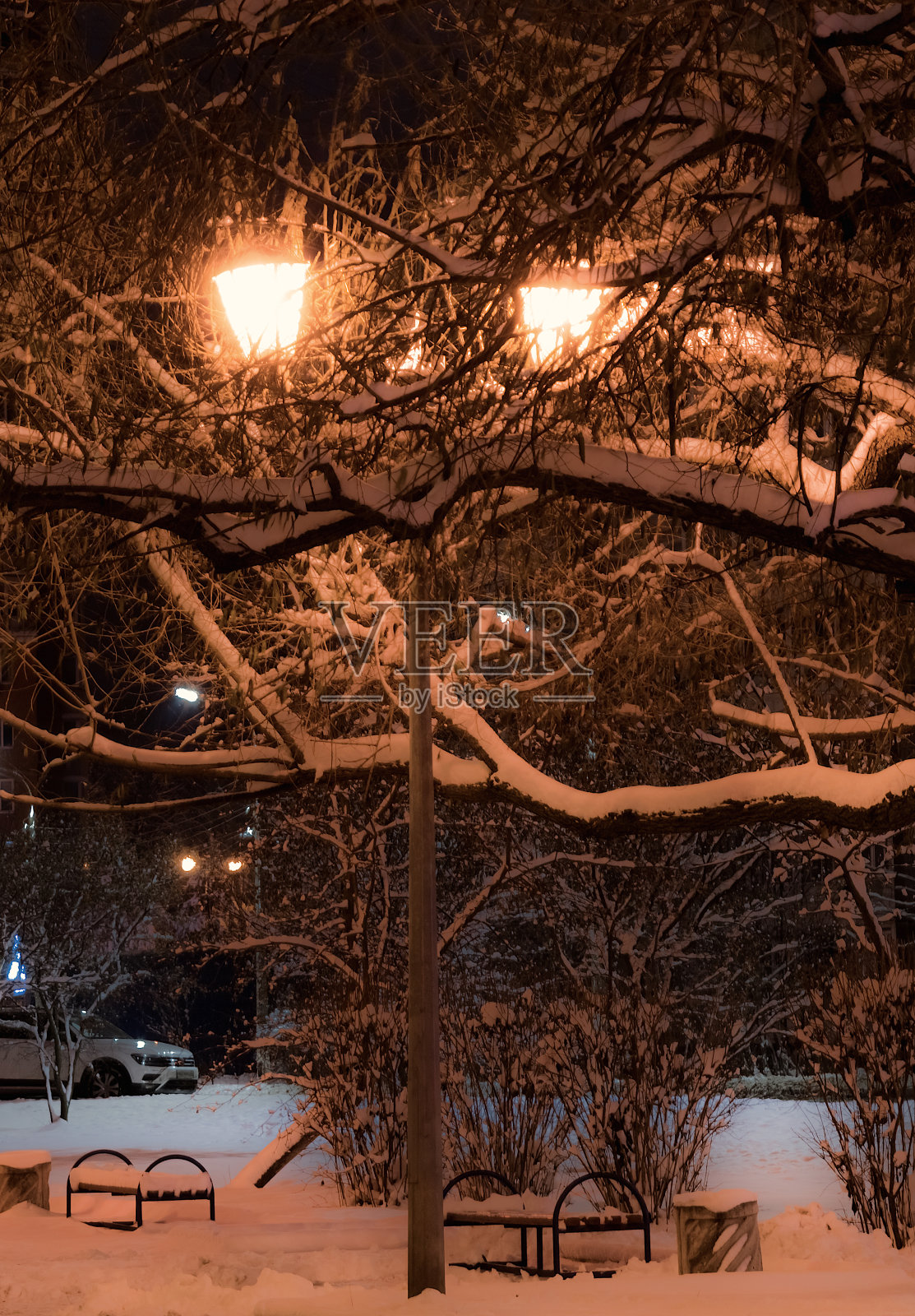 灯笼夜雪树照片摄影图片
