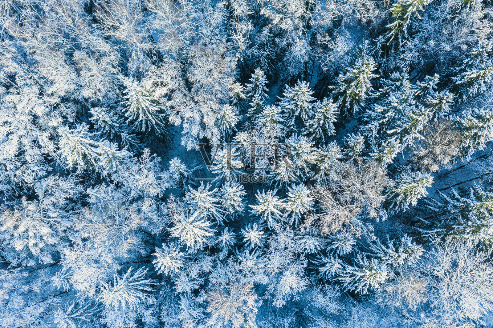 鸟瞰图的积雪覆盖的森林照片摄影图片