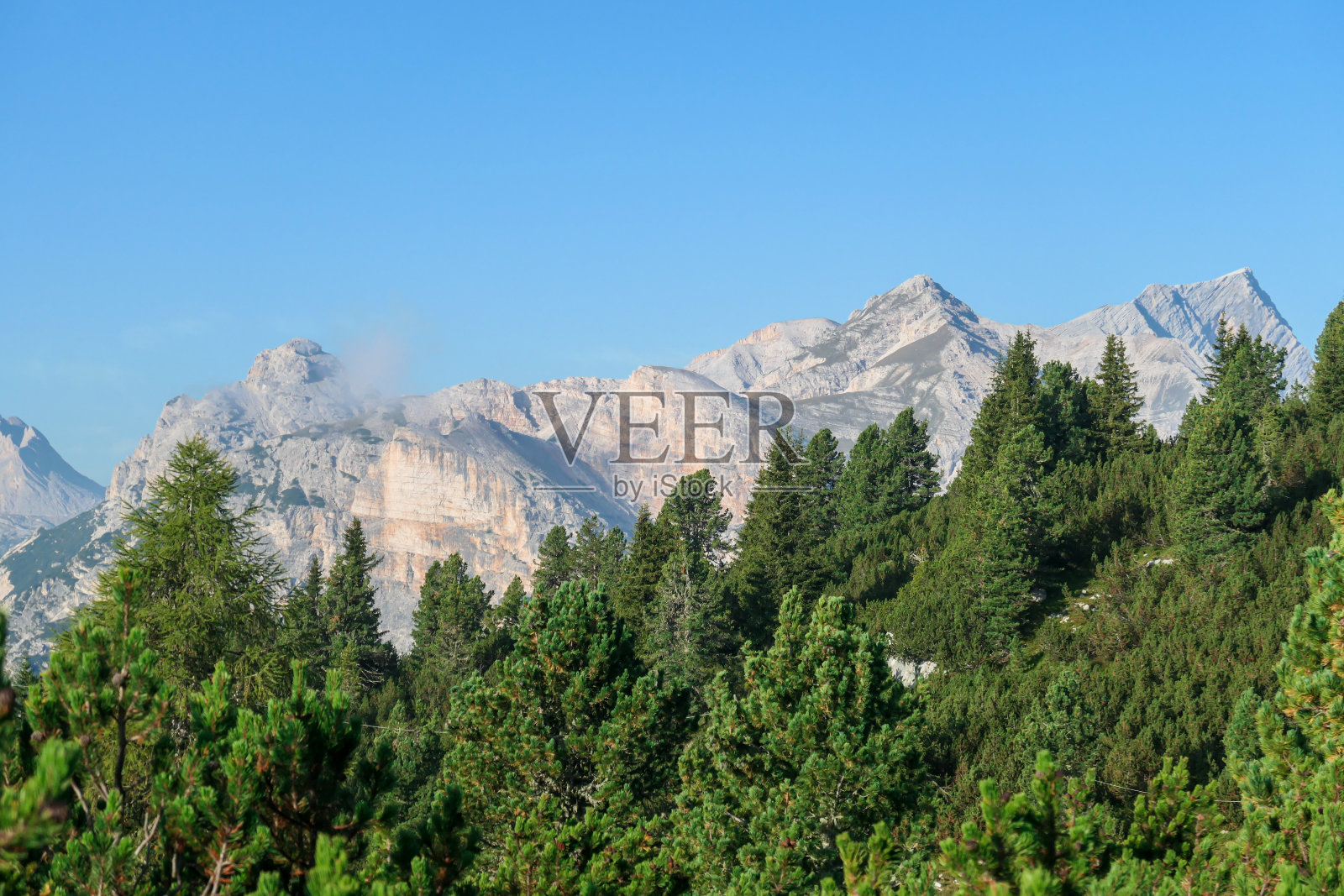 Armentarola -近距离观看意大利白云石地区的茂密森林,后面是巨大的山脉照片摄影图片