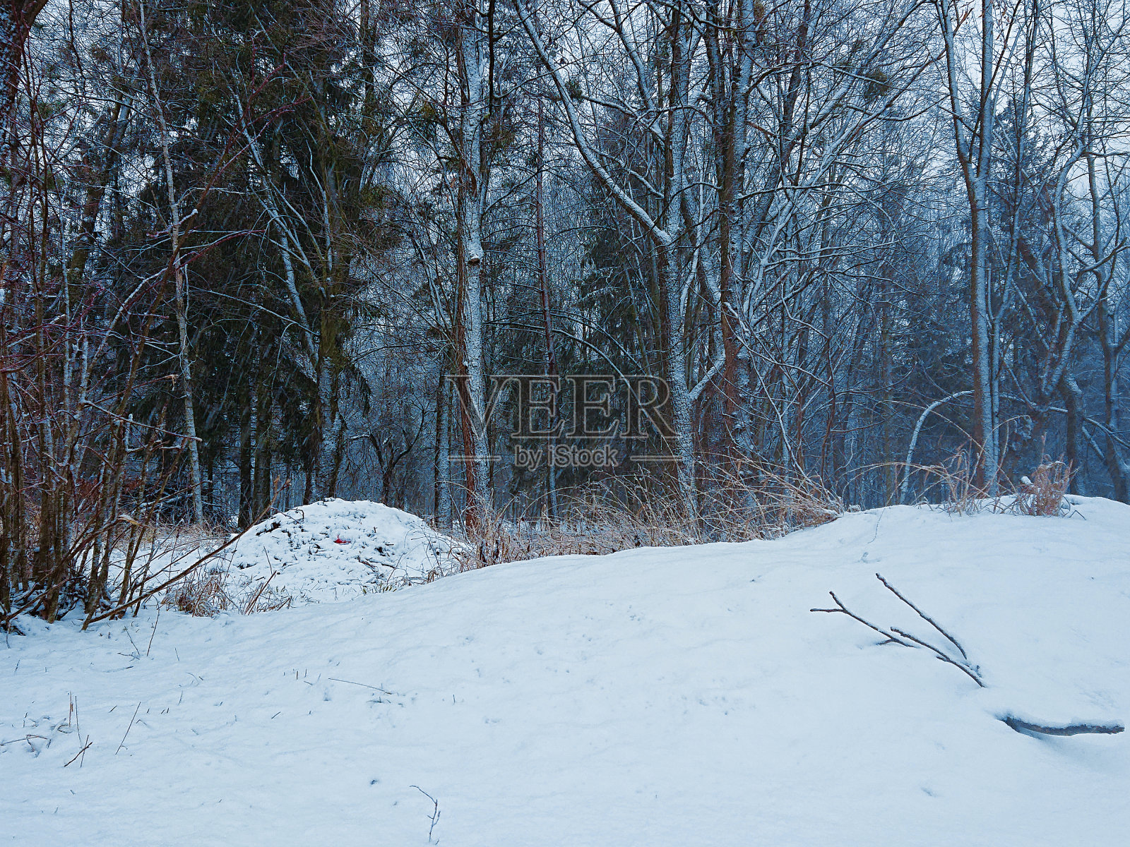 冰雪覆盖的冬季公园,美丽的冬季自然,寒冷的天气,白雪皑皑的冬季森林背景。照片摄影图片