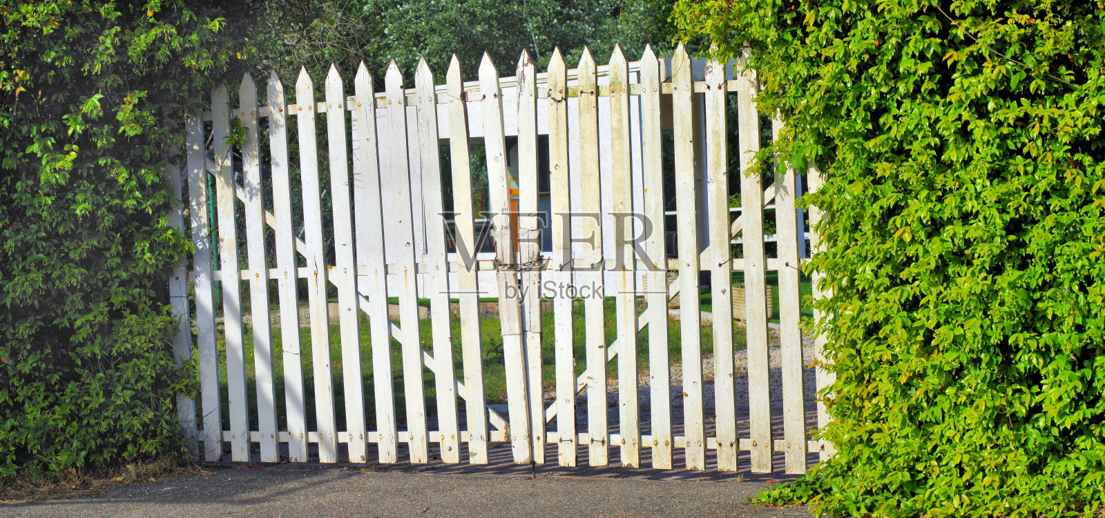 白色大木门照片摄影图片