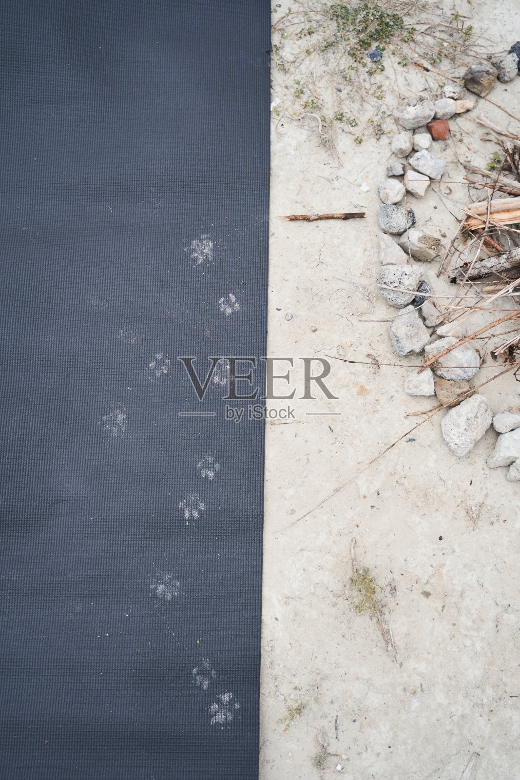 垫子上有小狗的脚印照片摄影图片