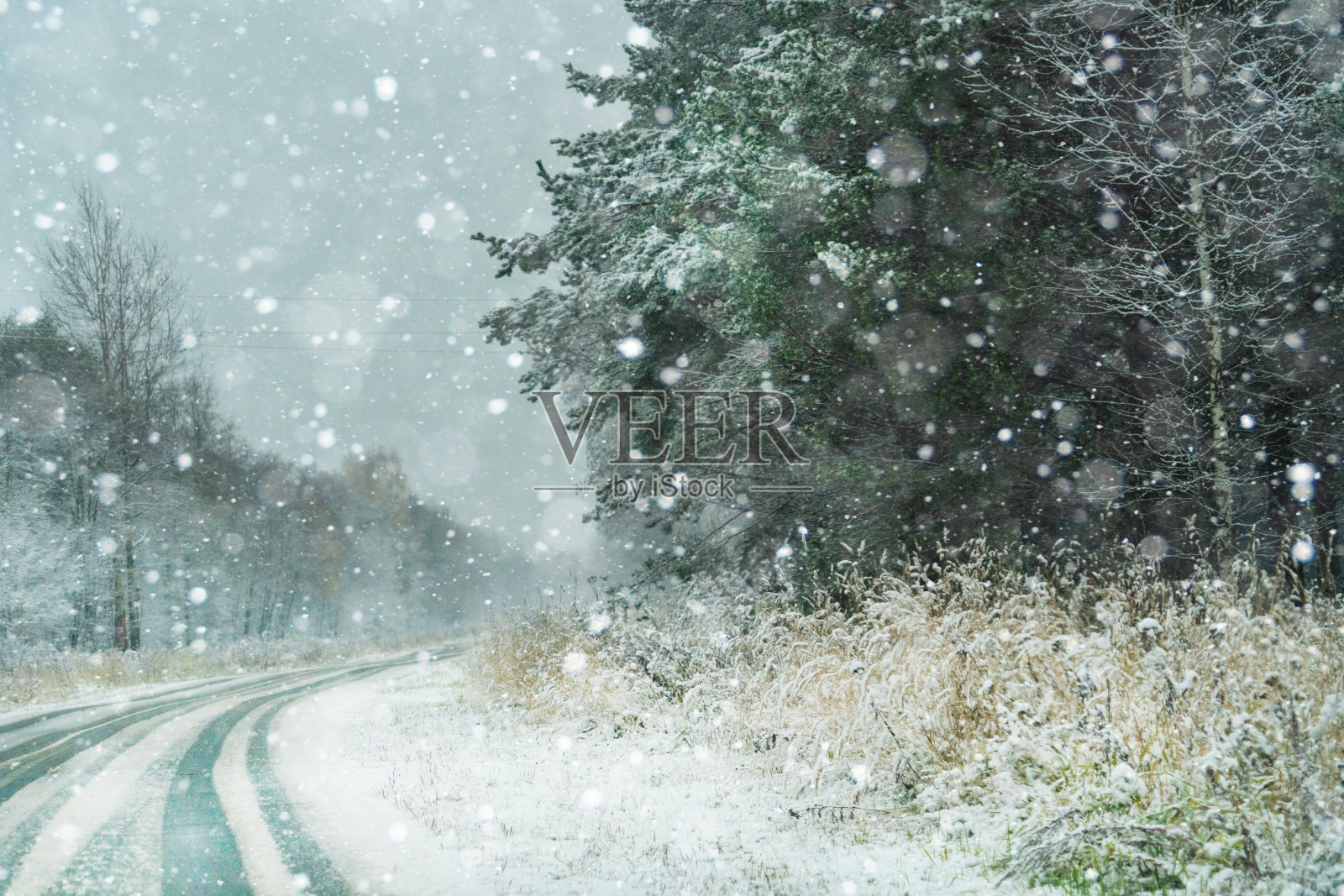 雪中的森林。照片摄影图片