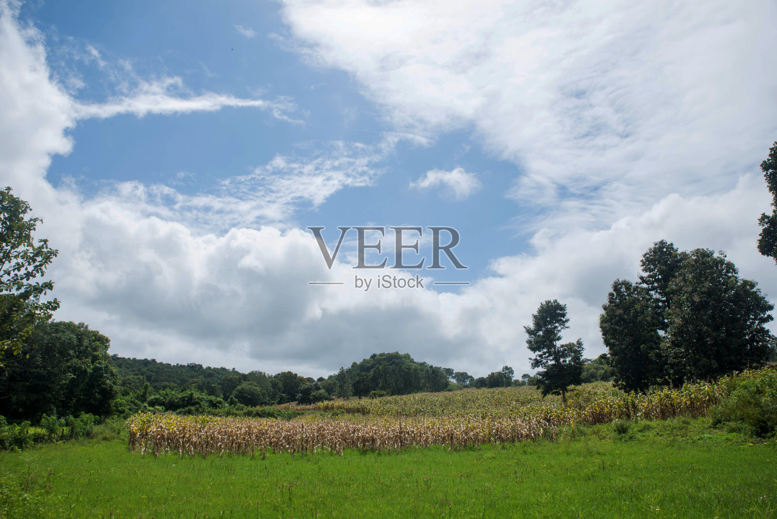 田园诗般的乡村风景-蓝天白云照片摄影图片