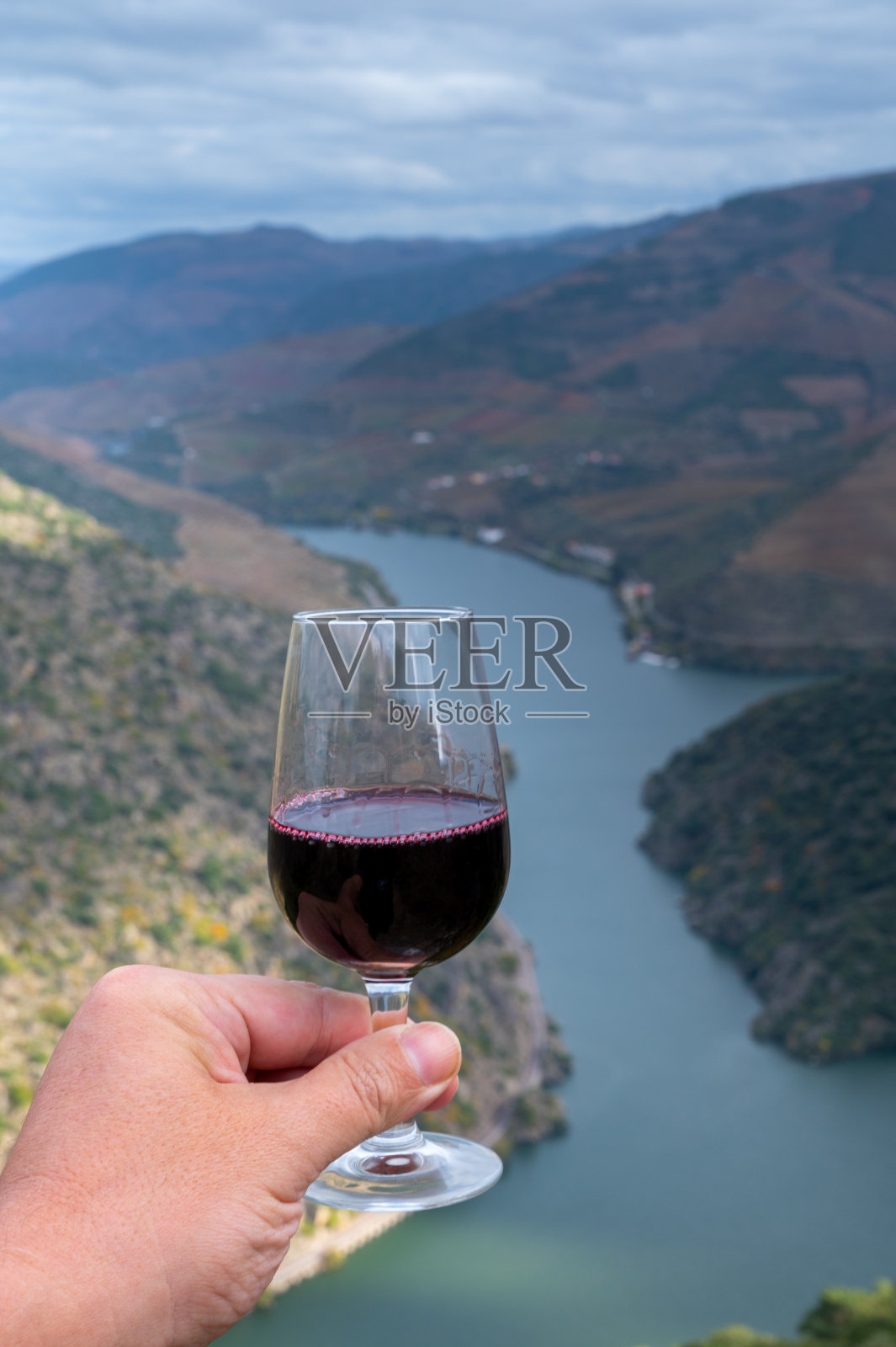 手与强化波特酒,生产在杜罗河谷和杜罗河与色彩斑斓的梯田葡萄园背景在秋天,葡萄牙照片摄影图片