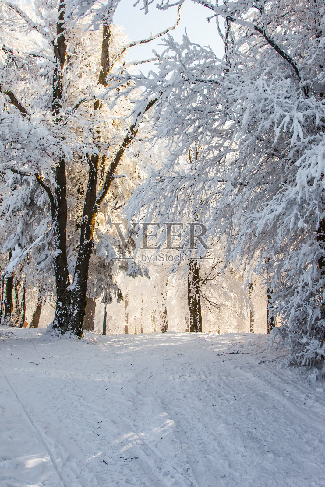 雪路照片摄影图片
