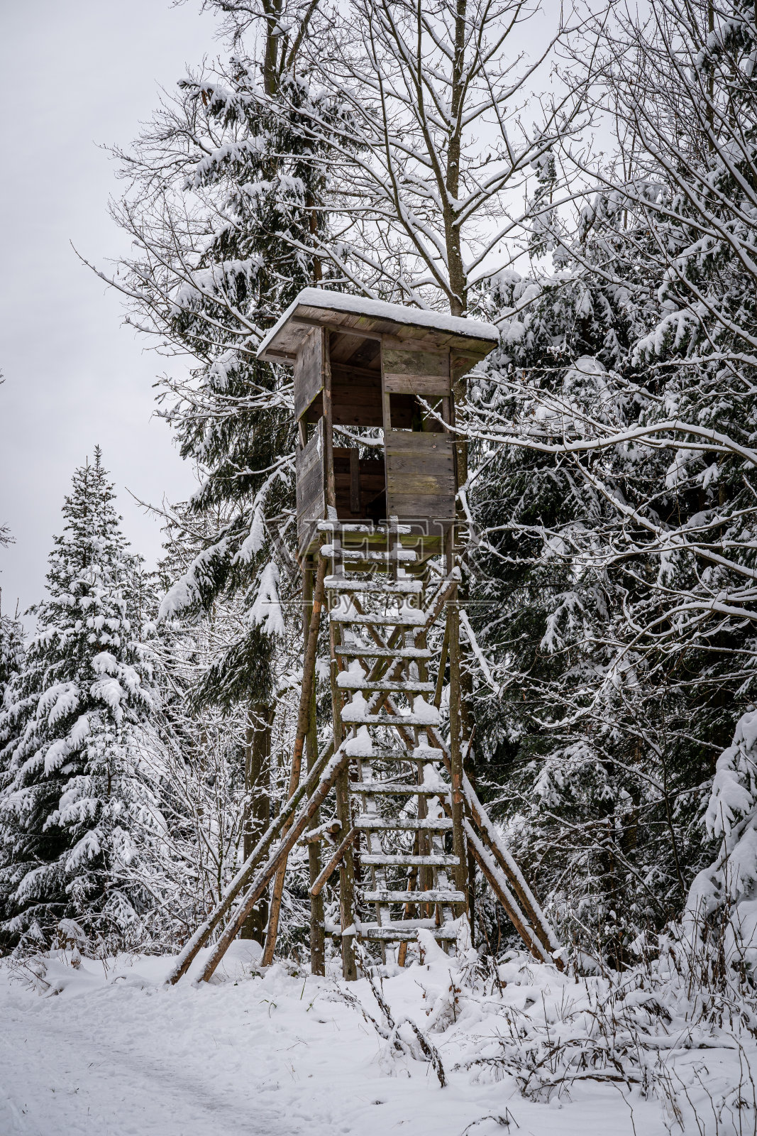 德国黑森林冬天的风景照片摄影图片