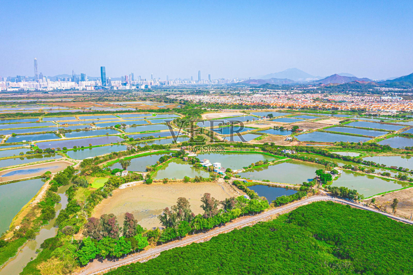鸟瞰香港边境的鱼塘照片摄影图片