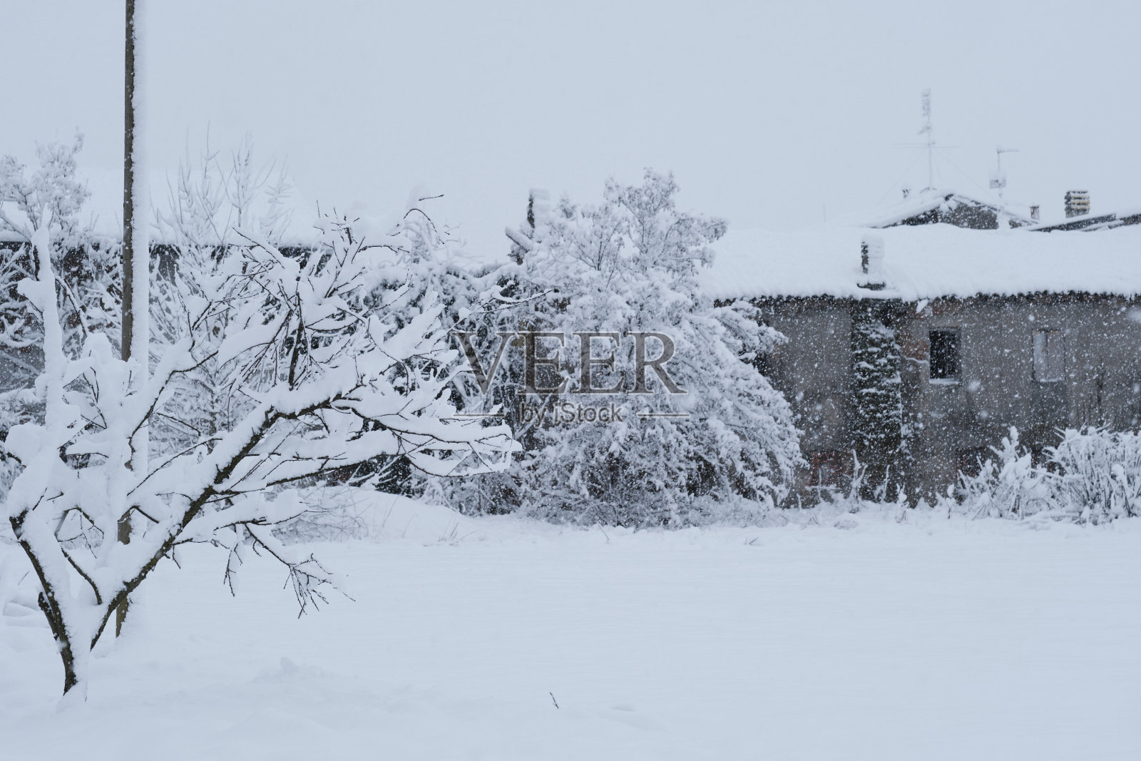 大街上有雪照片摄影图片