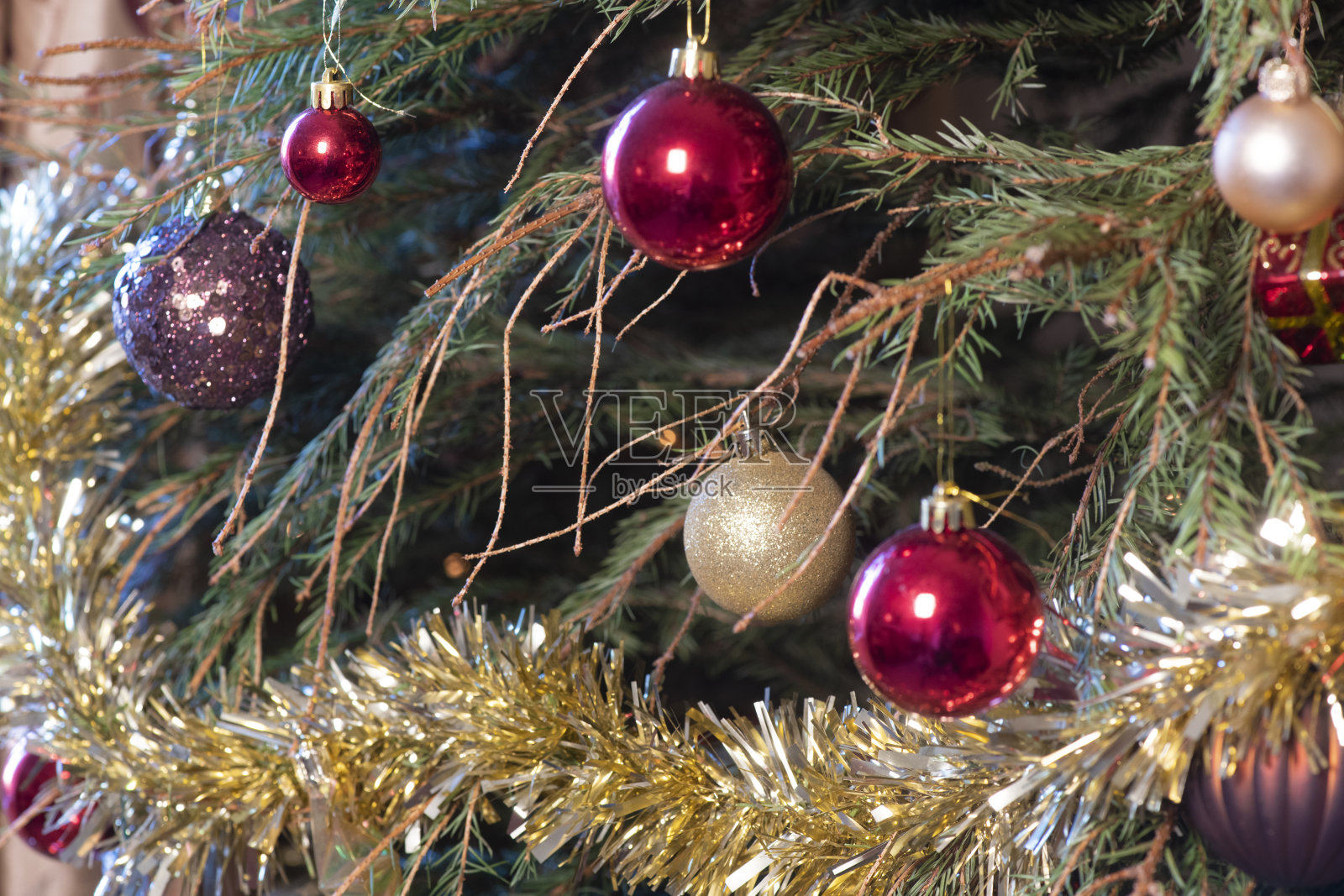 落针的腐烂的圣诞树照片摄影图片