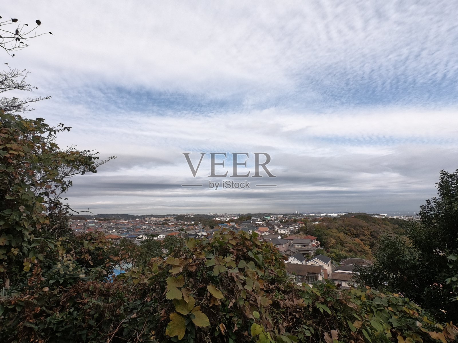 横须贺市的风景照片摄影图片