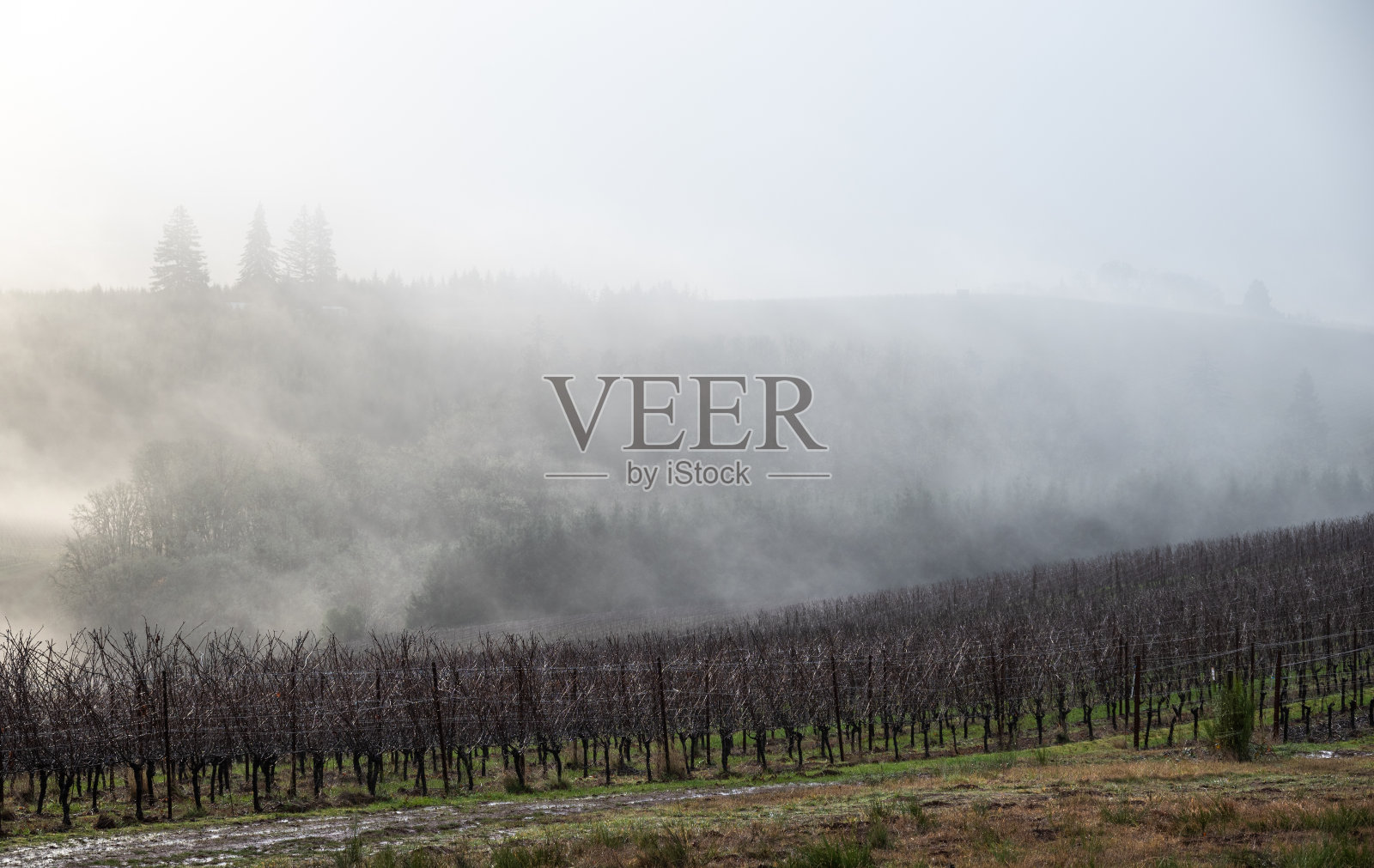 胡德山在地平线上升起,被雪覆盖着照片摄影图片