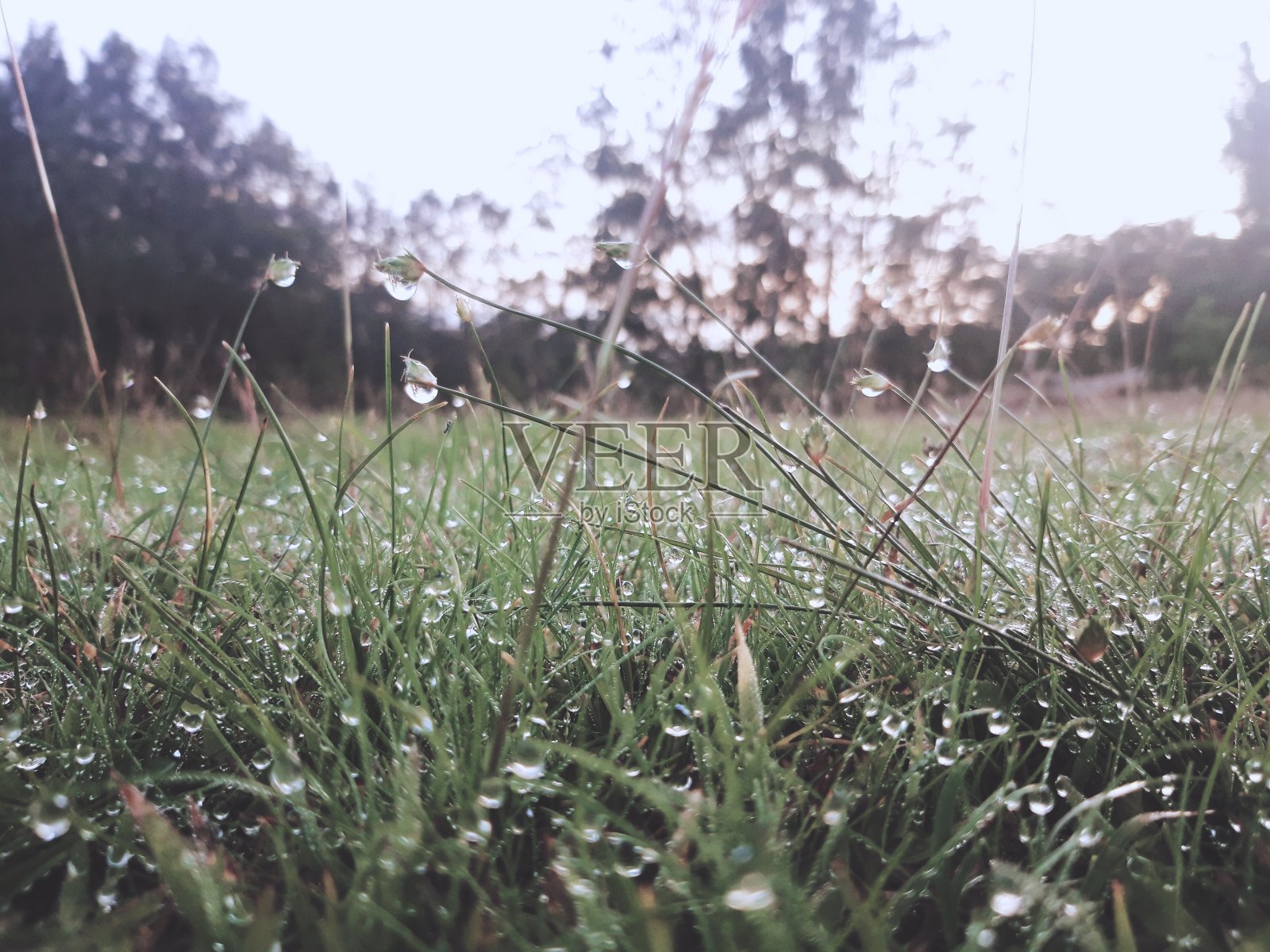 早上视图照片摄影图片