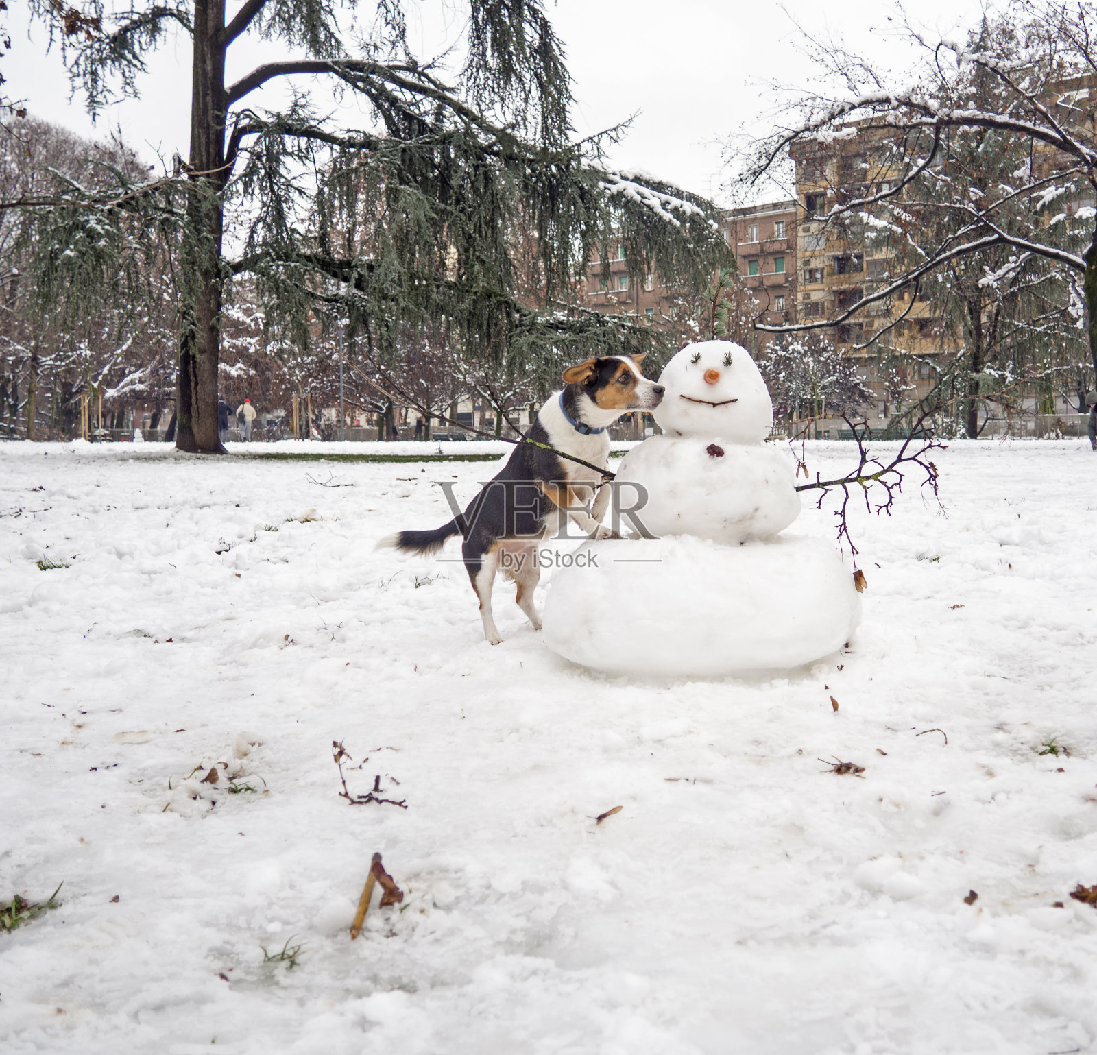 雪人照片摄影图片