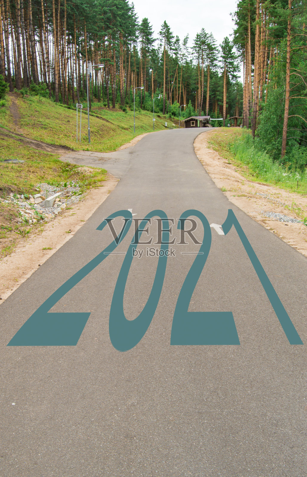 2021年,在一个自然公园的空旷柏油路中间,高大的松树之间照片摄影图片