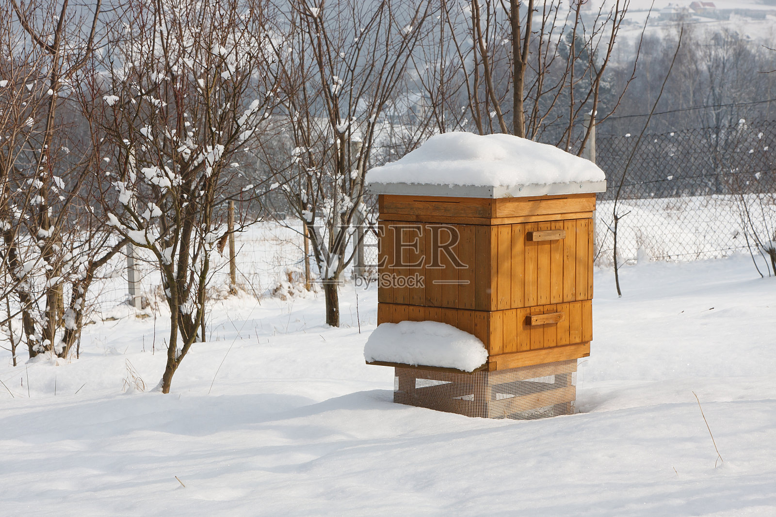 蜂巢照片摄影图片