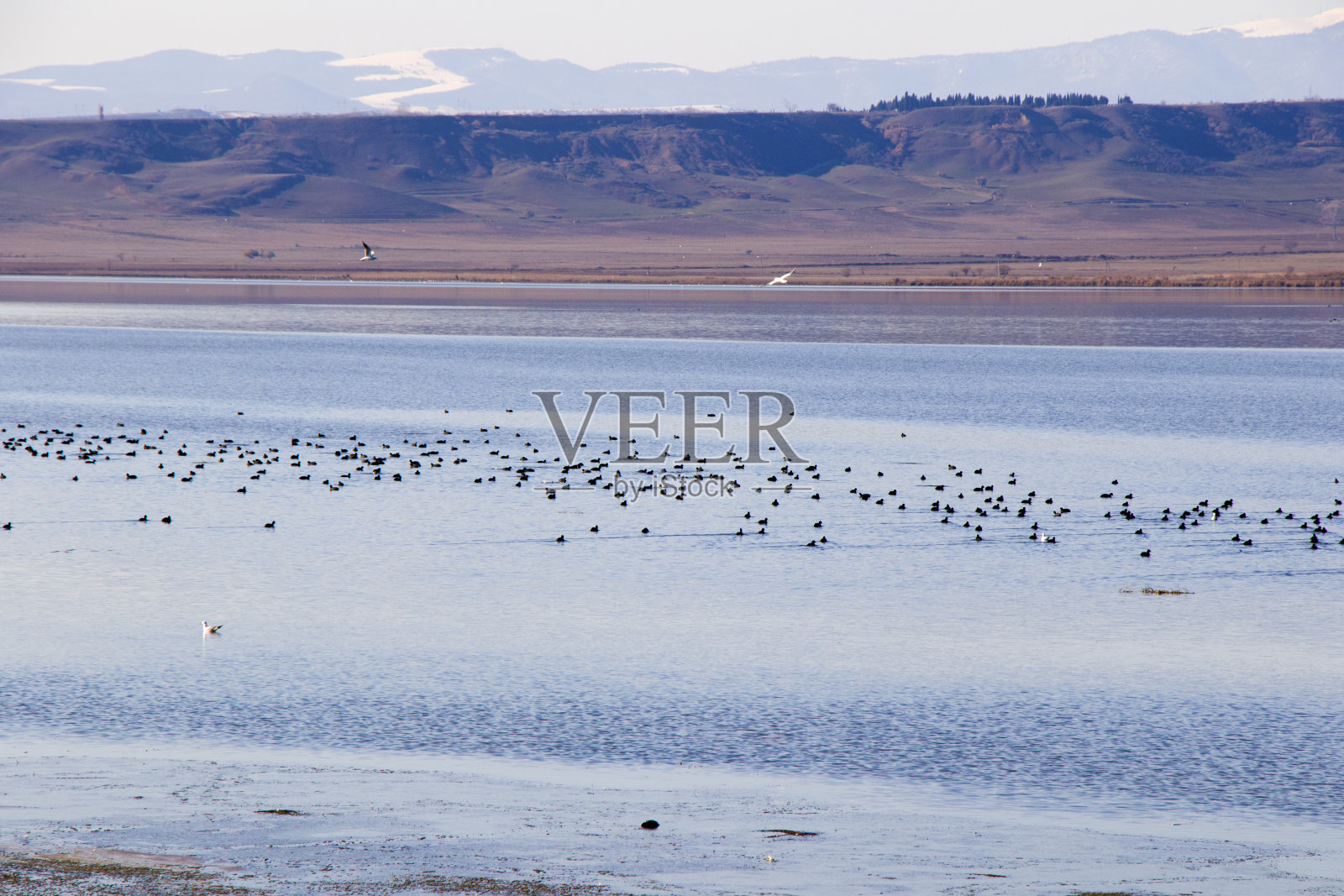湖照片摄影图片