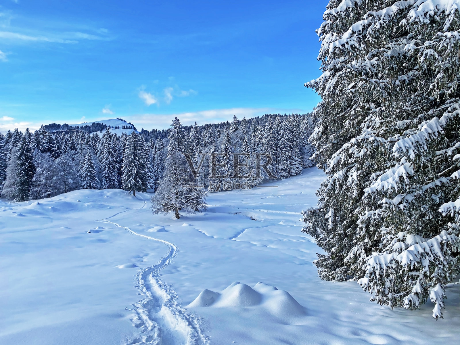 美妙的冬季徒步小径和踪迹在瑞士阿尔卑斯山的新高山积雪覆盖,Schwägalp山口阿彭策尔州,瑞士(坎顿阿彭策尔,瑞士)照片摄影图片