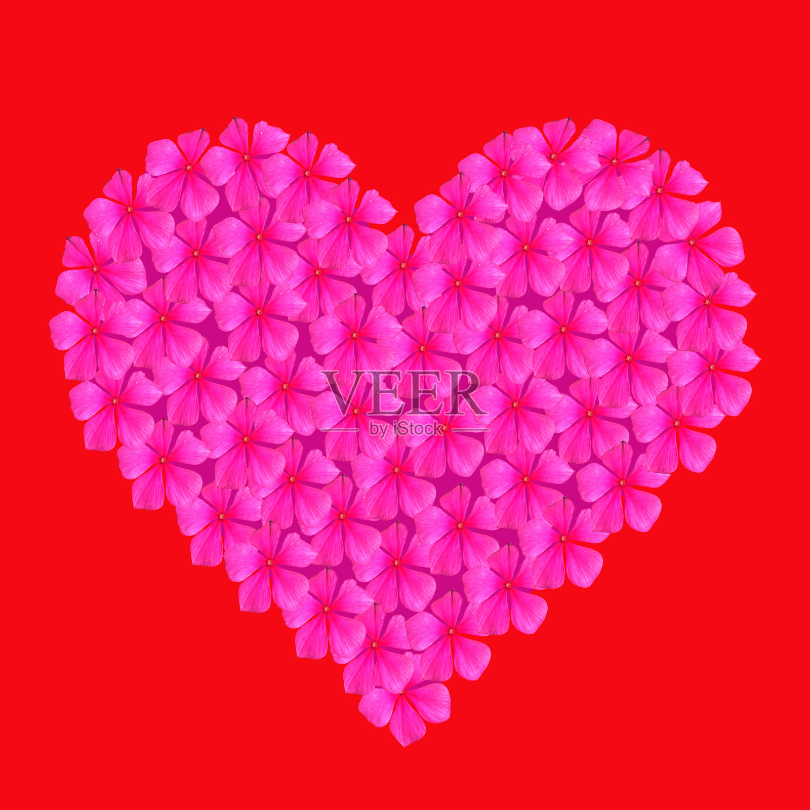 情人节快乐!鲜花组成的心形照片摄影图片