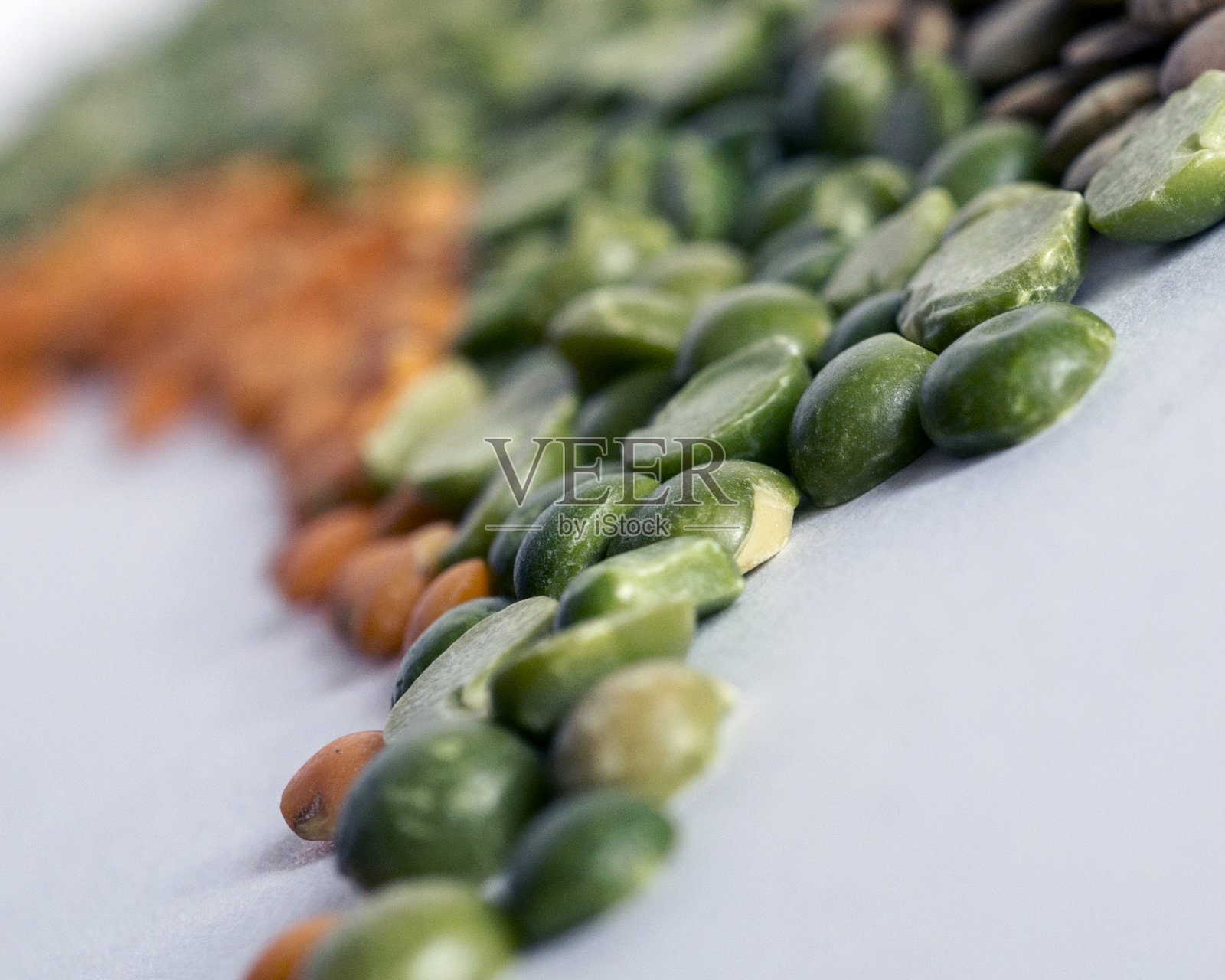 三色豆科植物的宏观透视照片摄影图片