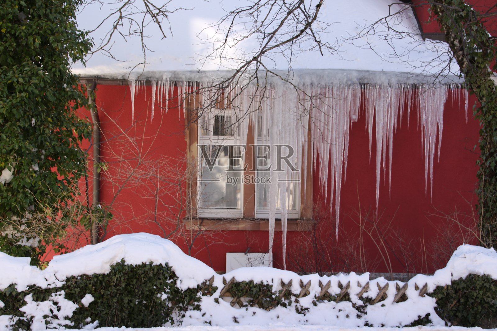 黑森林的冬天照片摄影图片