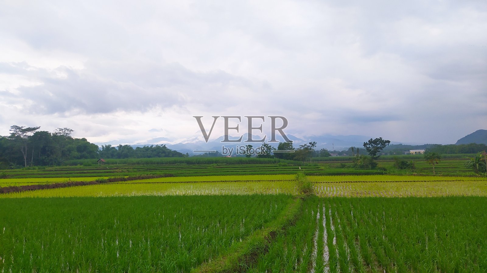 自然照片摄影图片