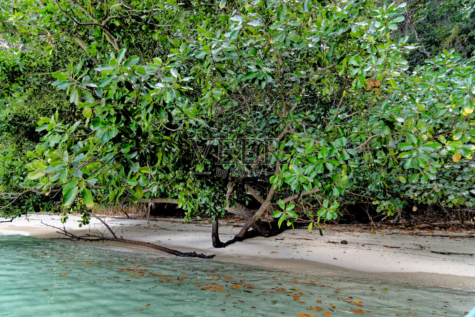 美丽的小泰国海滩的湖Koh Hong -泰国照片摄影图片