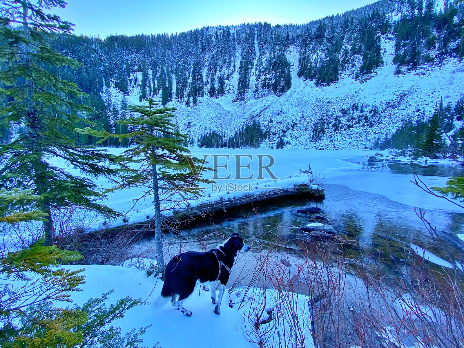 喀斯喀特山脉的冬景照片摄影图片