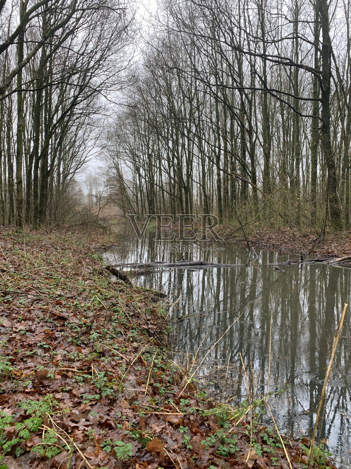 秋天在冬天,宁静照片摄影图片