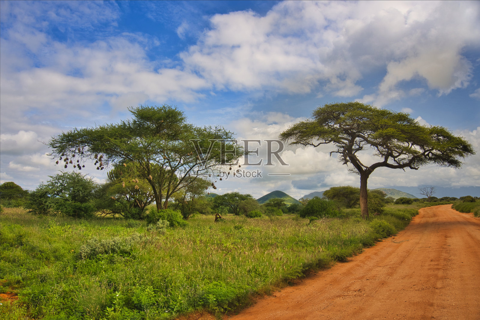 国家公园、察沃东、察沃西和安博塞利的风景照片摄影图片