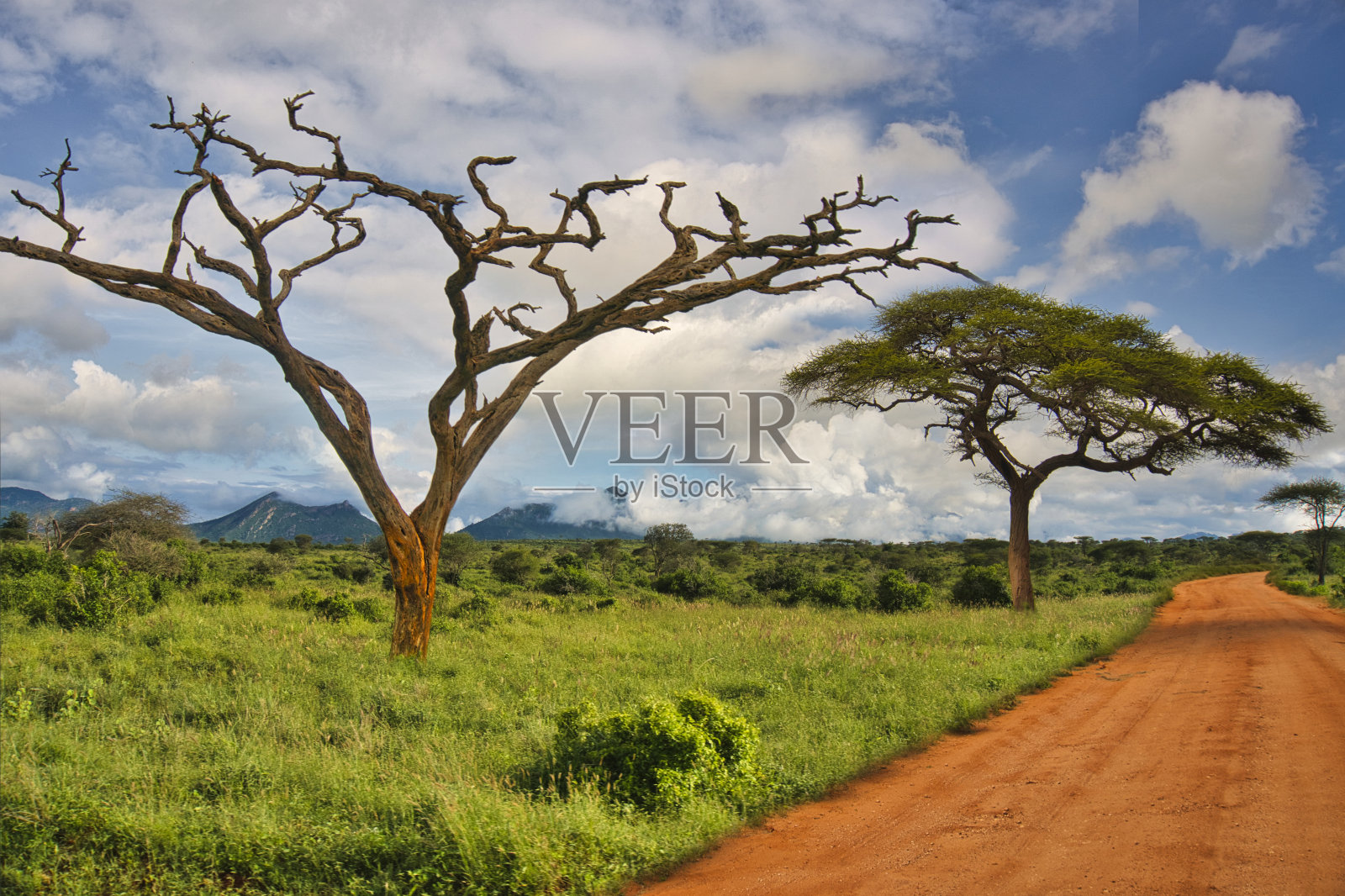 国家公园、察沃东、察沃西和安博塞利的风景照片摄影图片
