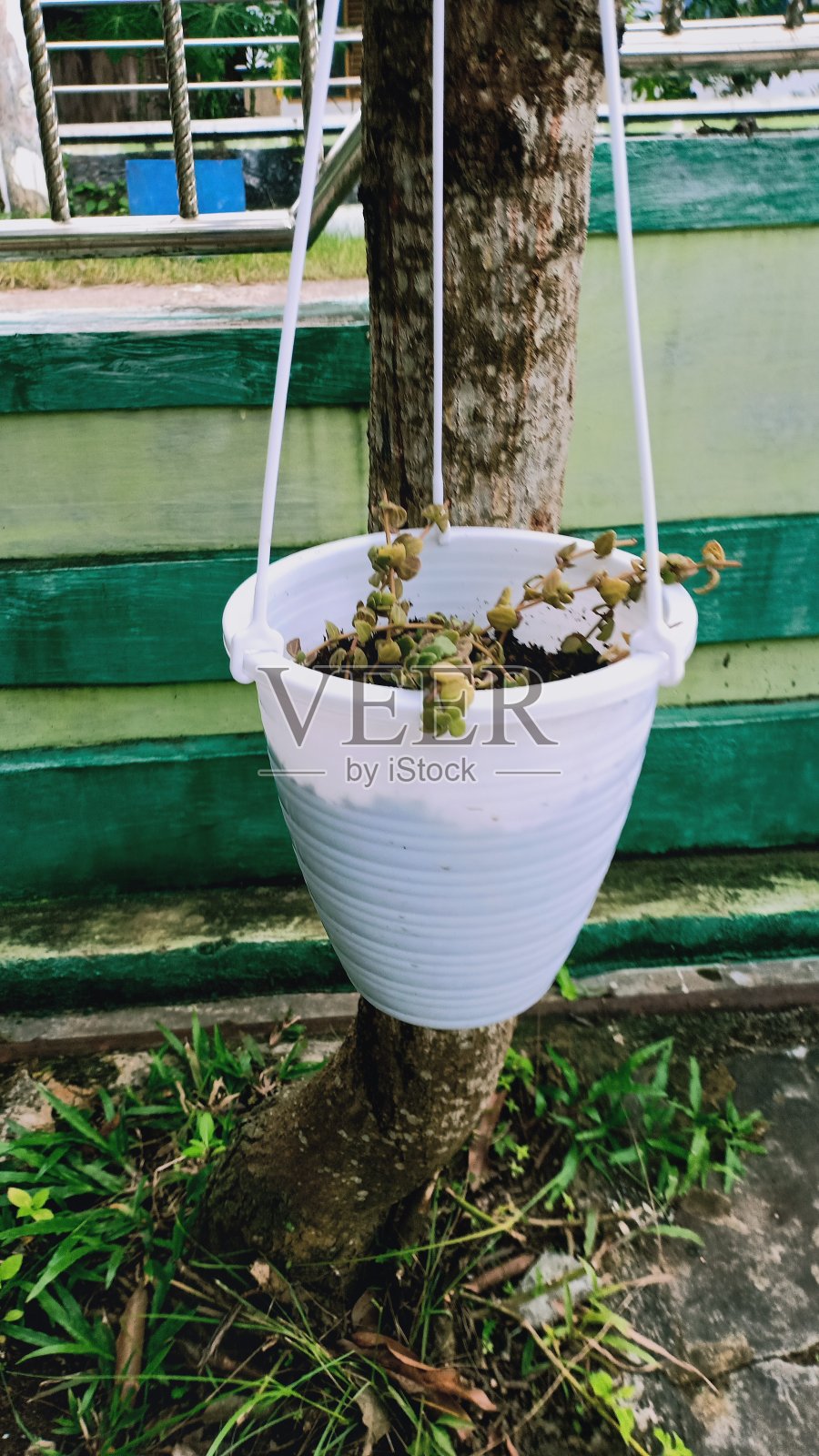 悬挂装置照片摄影图片