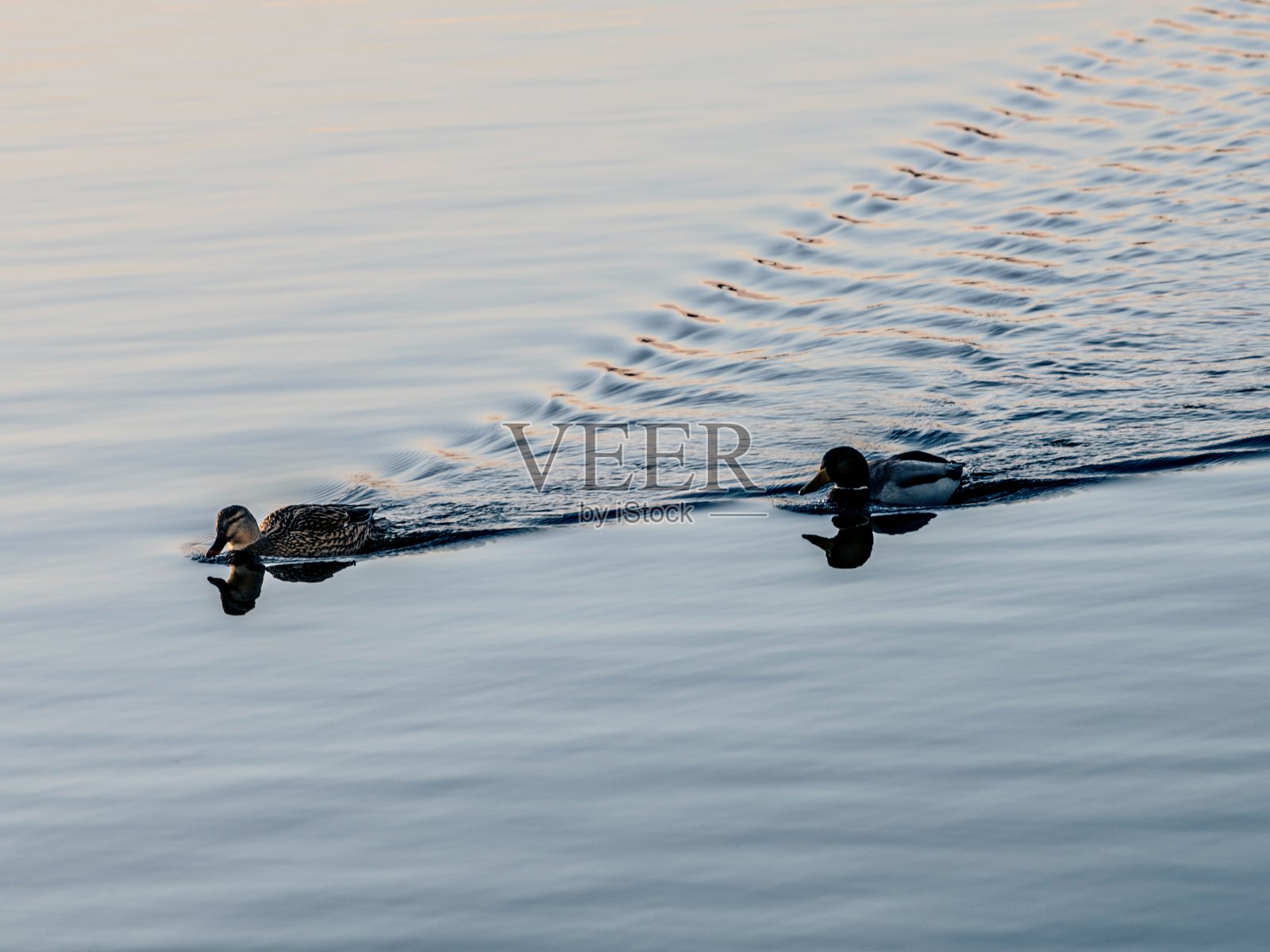 水反射照片摄影图片