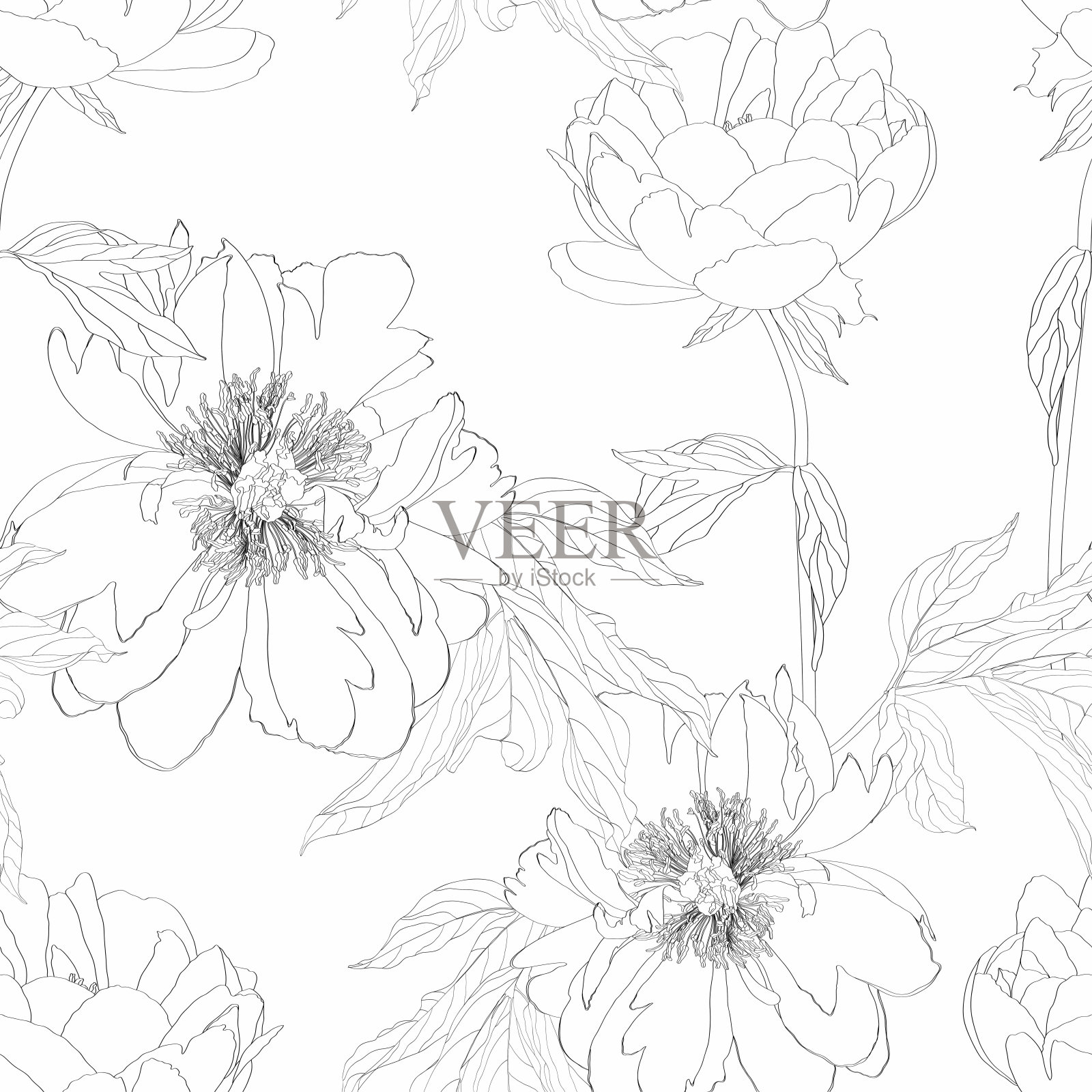 牡丹花型无缝拼接。花的背景在黑色白色。花店用花架。夏日花牡丹贺卡。花卉背景化妆品包装。插画图片素材