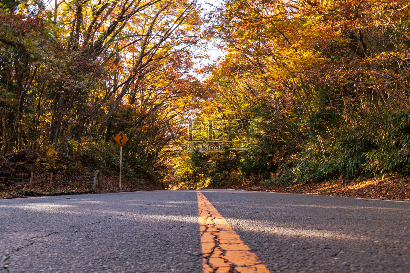 秋天清爽的菊池峡谷照片摄影图片