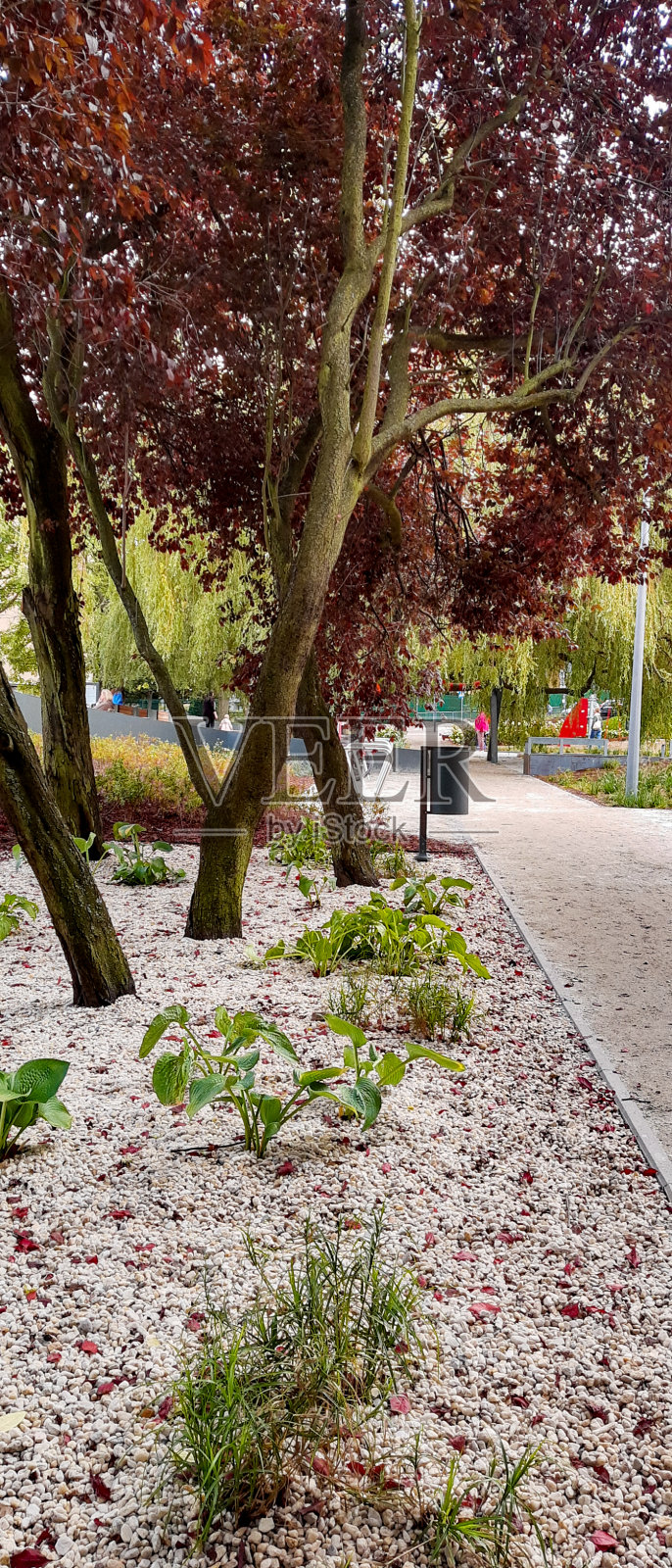 格丁尼亚一个公园里五彩缤纷的秋天。照片摄影图片