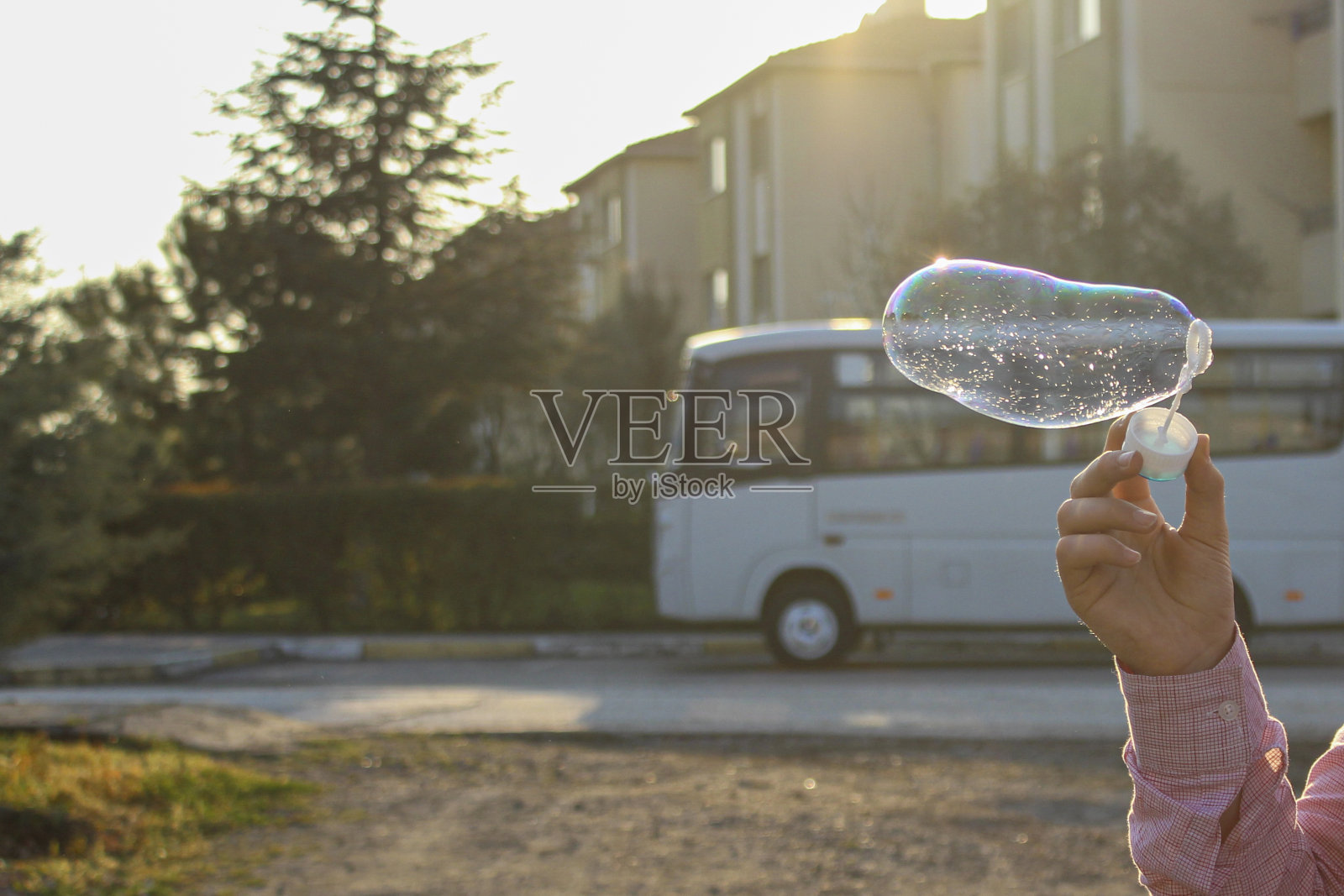 公园里的肥皂泡照片摄影图片